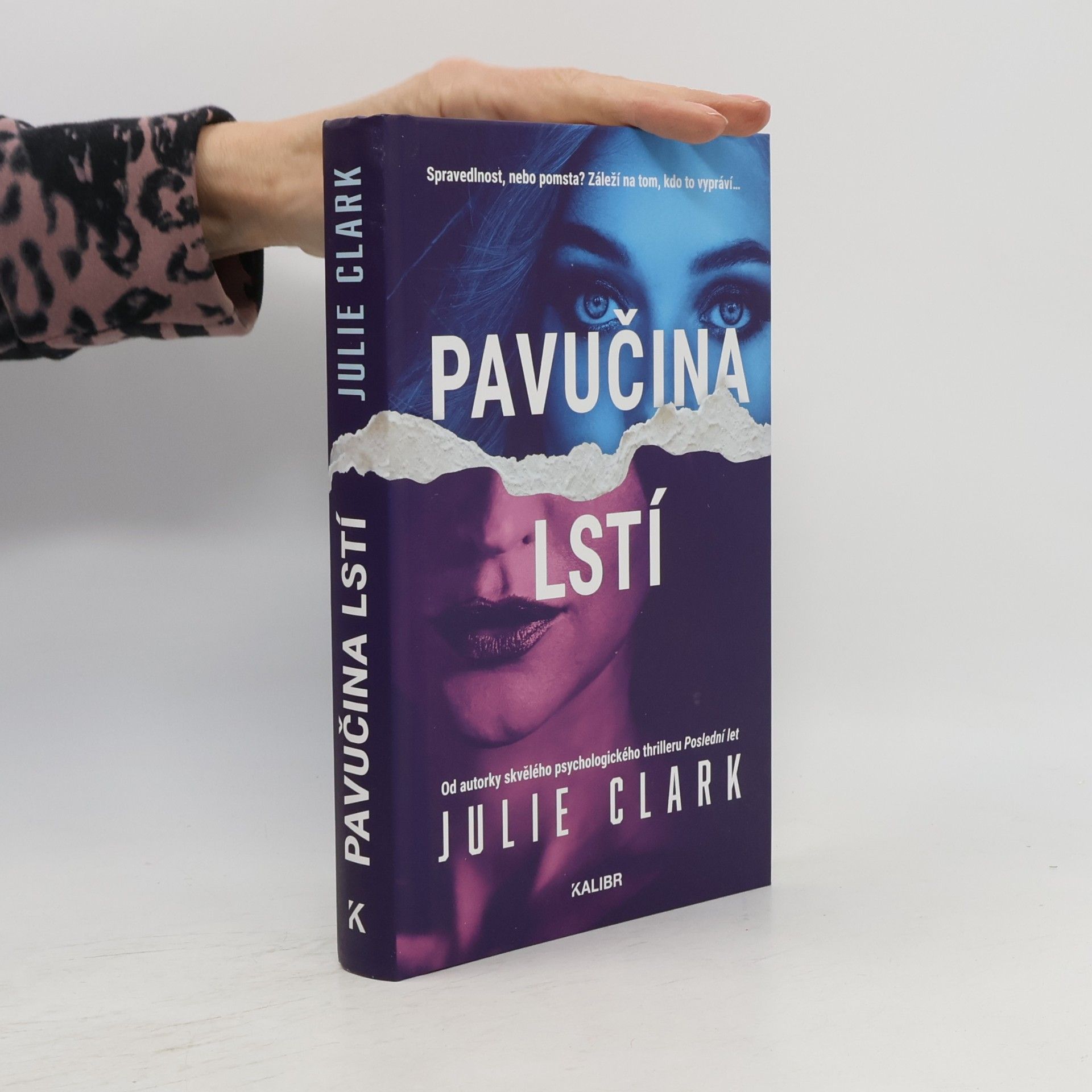 Julie Clark Pavučina lstí