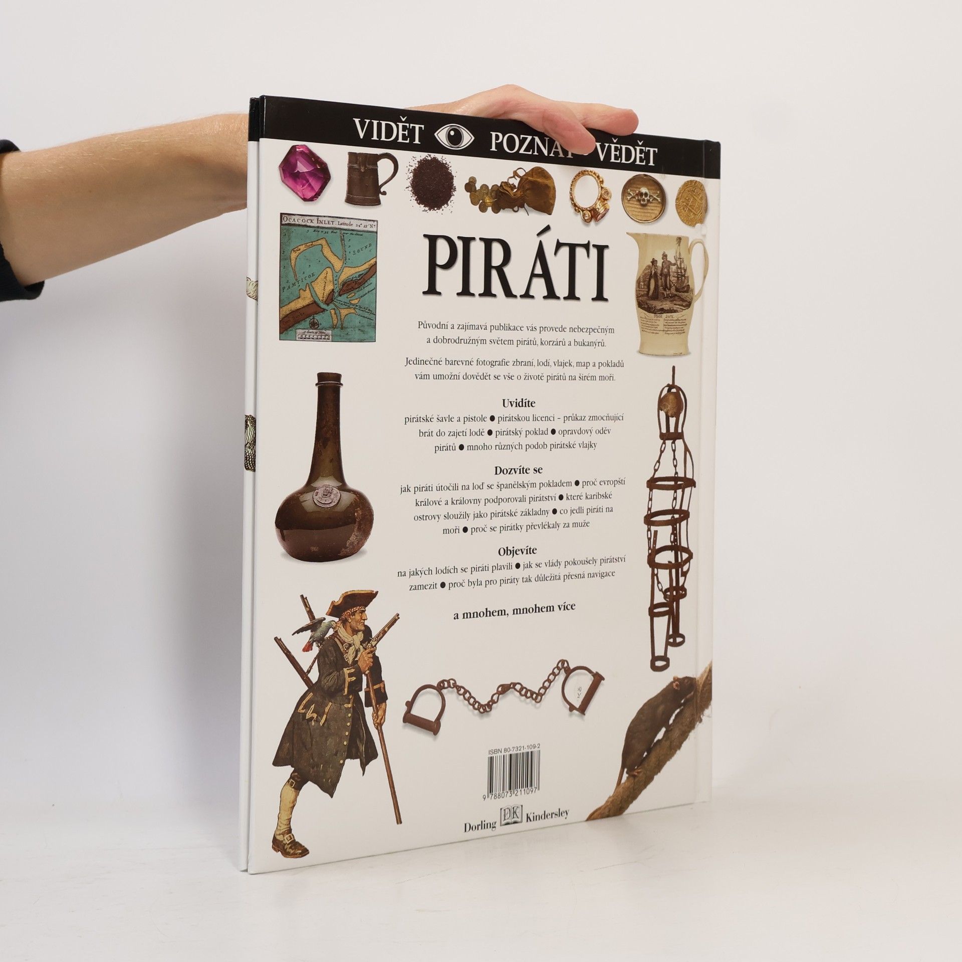 Richard Platt Piráti