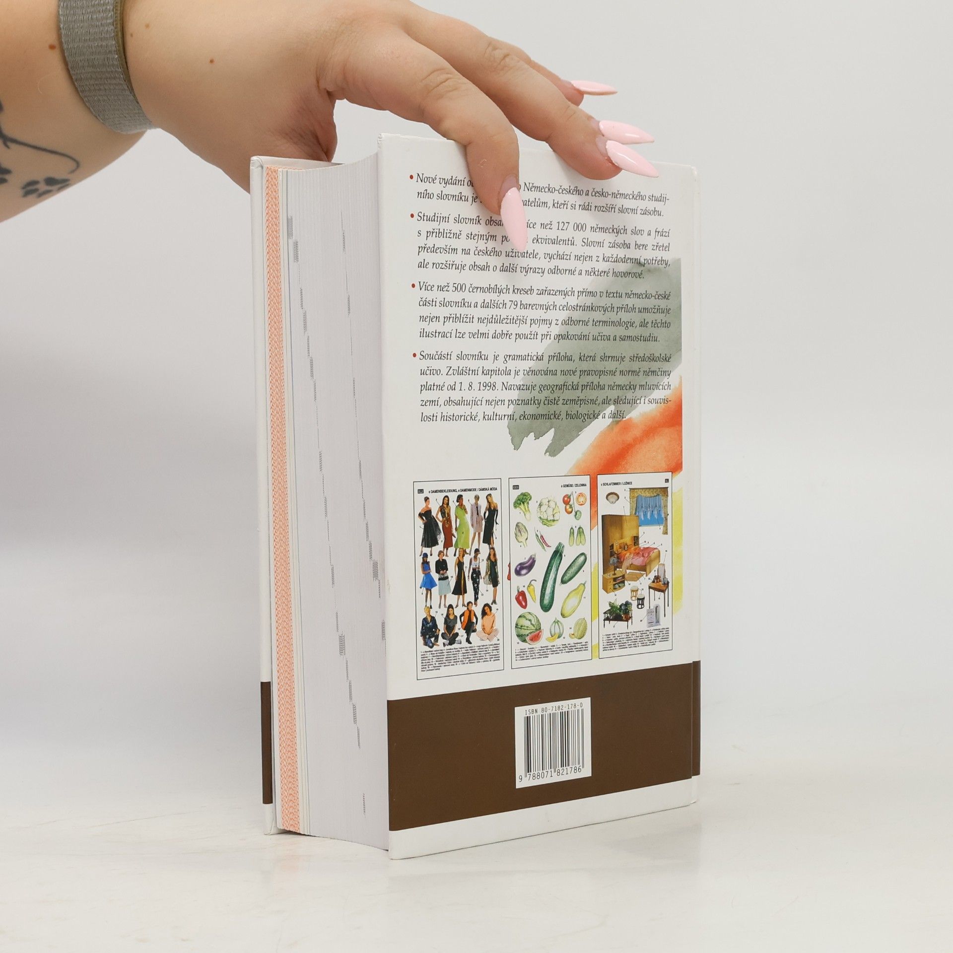 Autorenkollektiv Německo-český, česko-německý studijní slovník