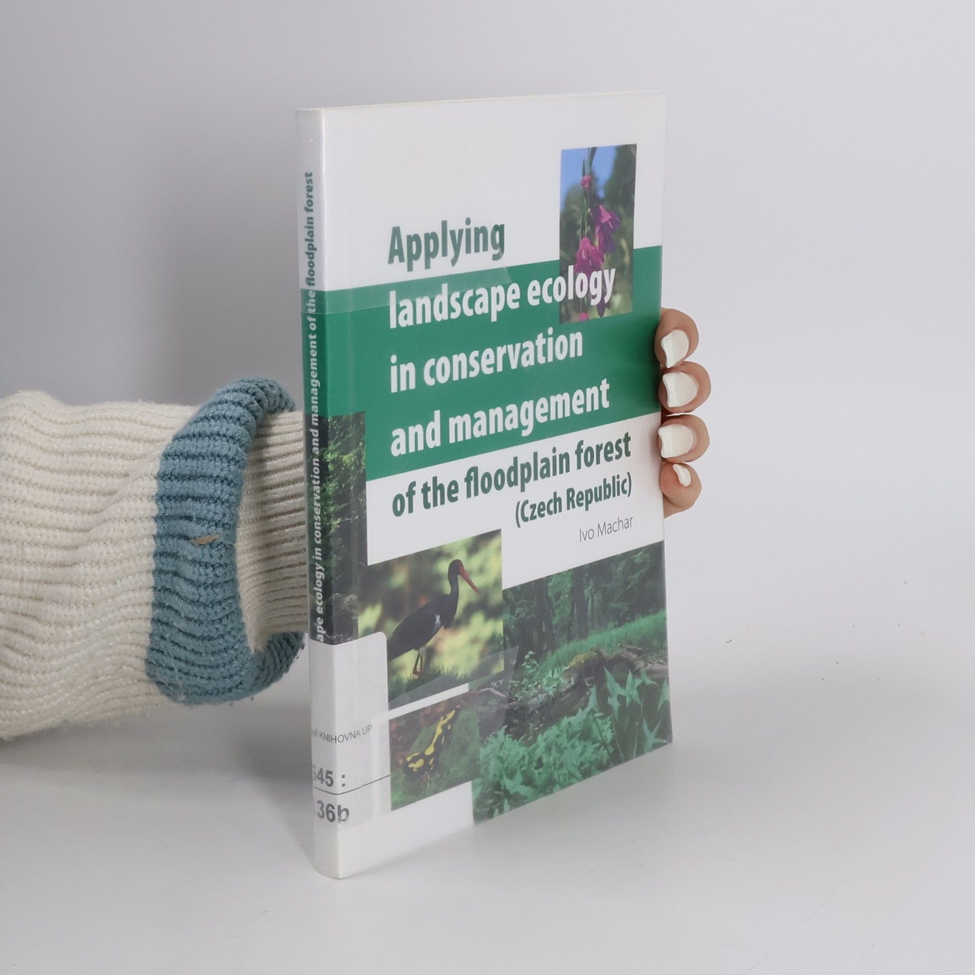 Applying Landscape Ecology in Conservation and Management of the Floodplain Forest (Czech Republic)