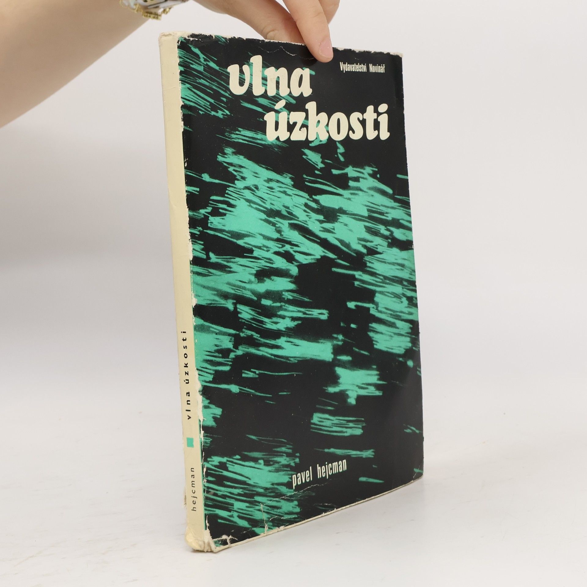 Pavel Hejcman Vlna úzkosti