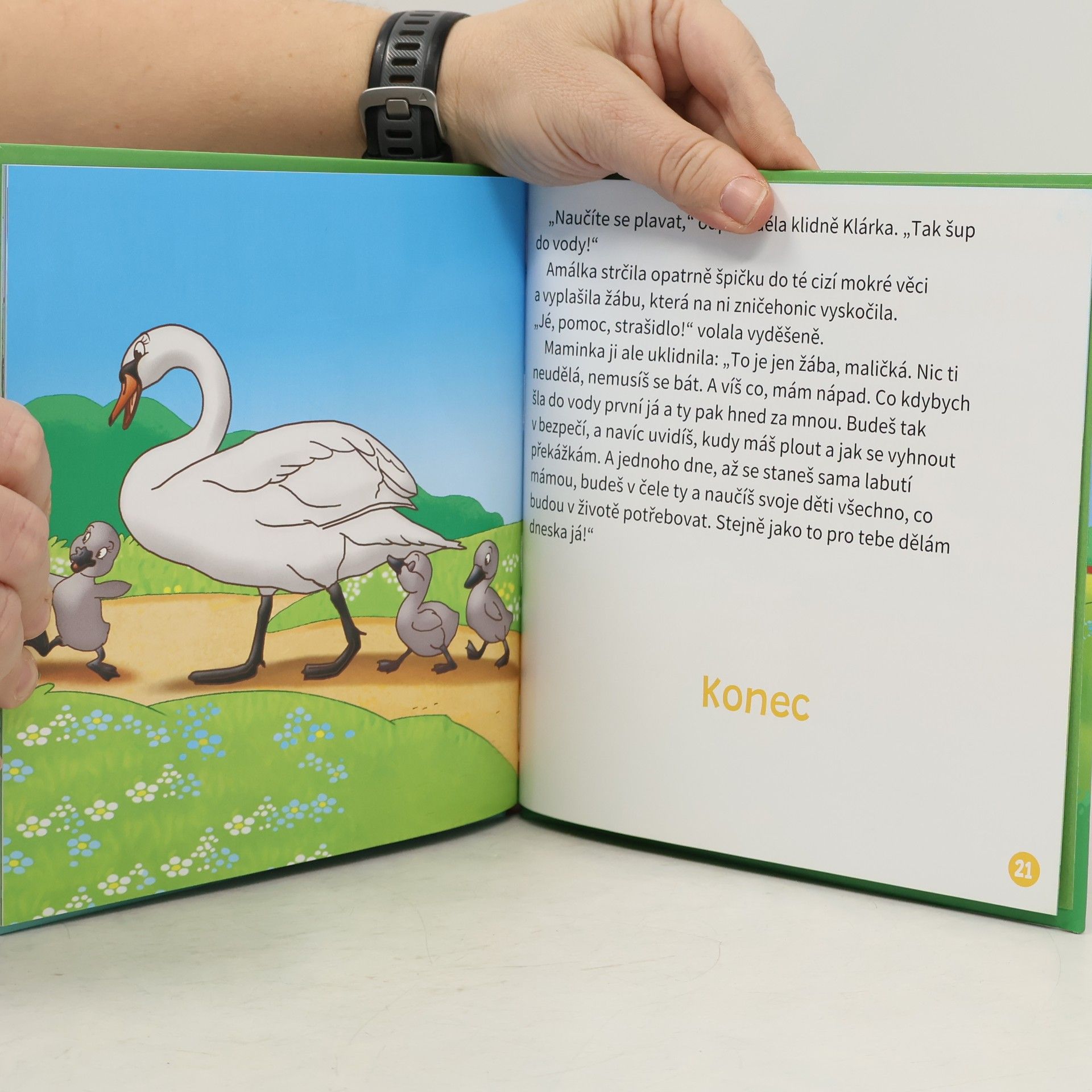 Kolektiv autorů Audiopříběhy z naší farmy. Labuť
