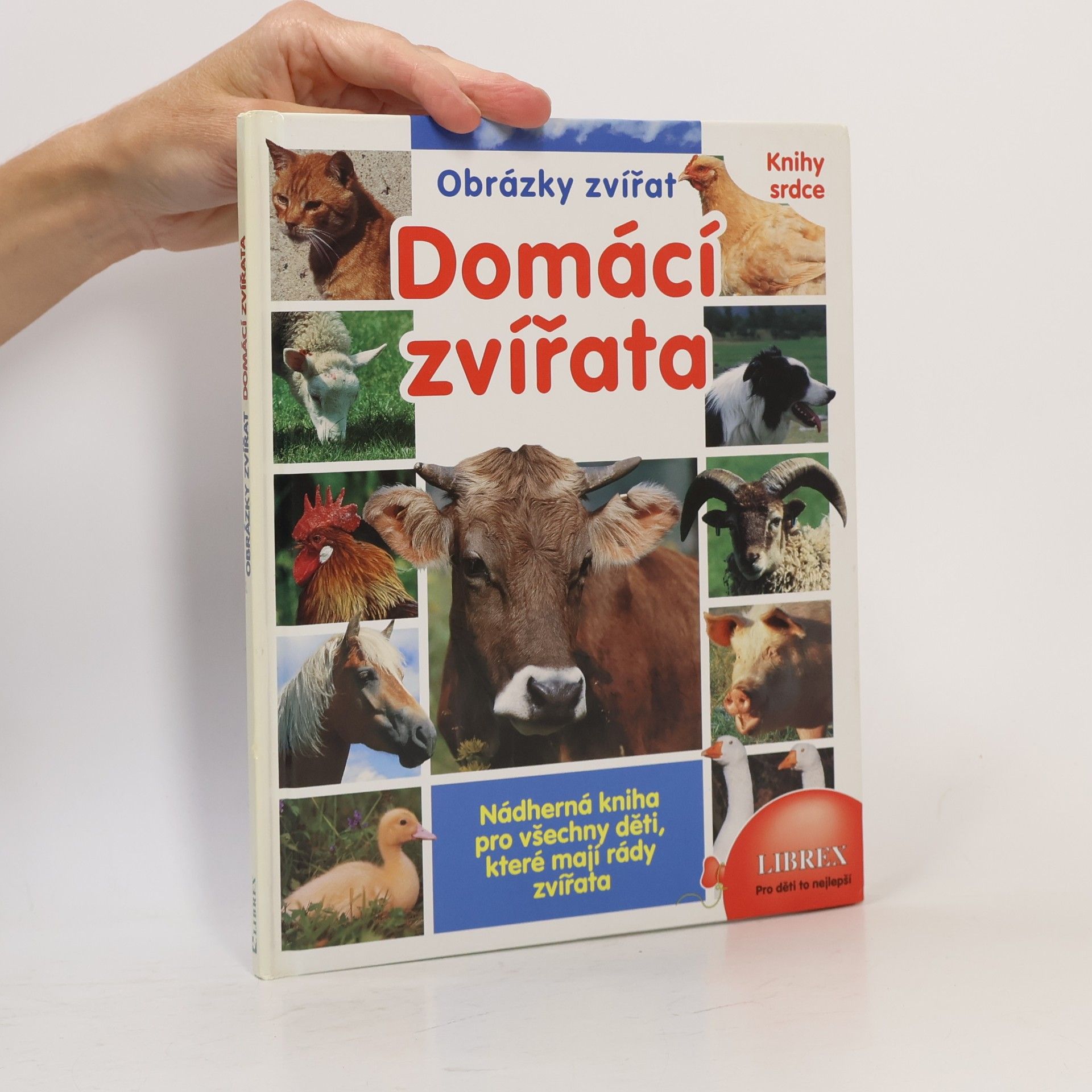 Autorenkollektiv Domácí zvířata