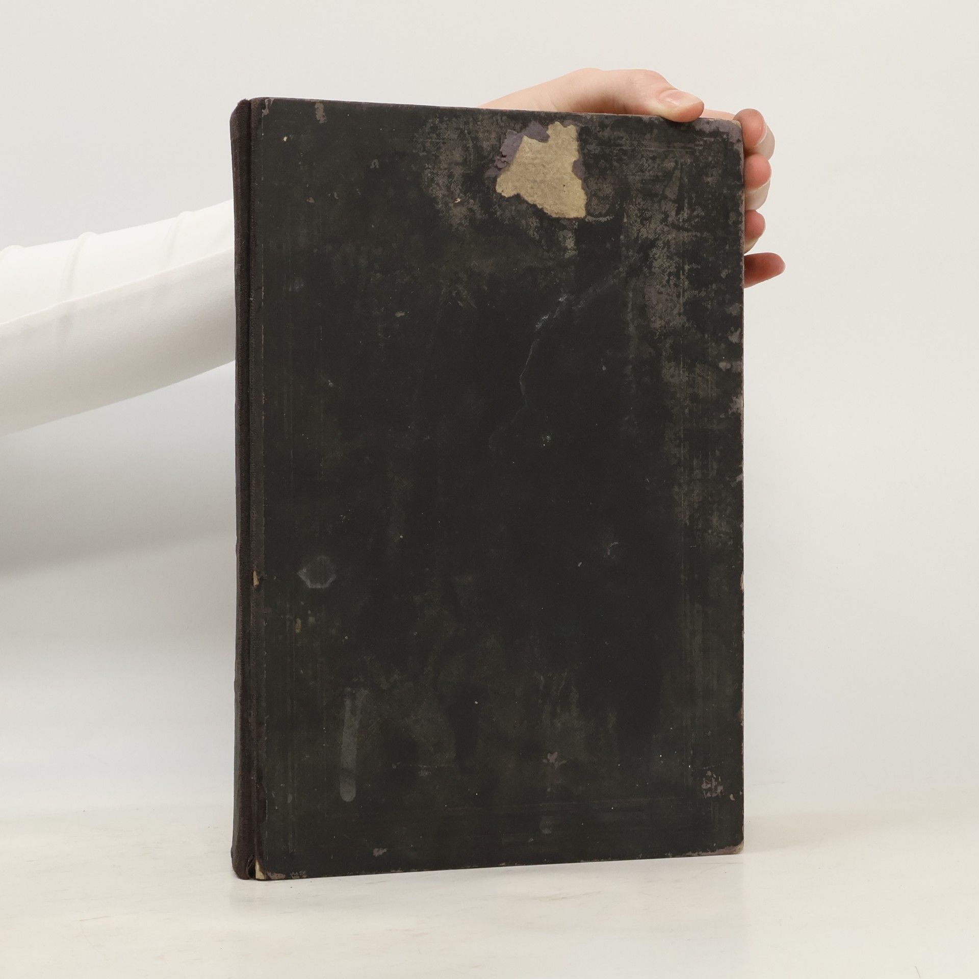 kolektiv Biblí svatá aneb Všecka Svatá písma Starého i Nového zákona. Podle posledního vydání kralického z roku 1613