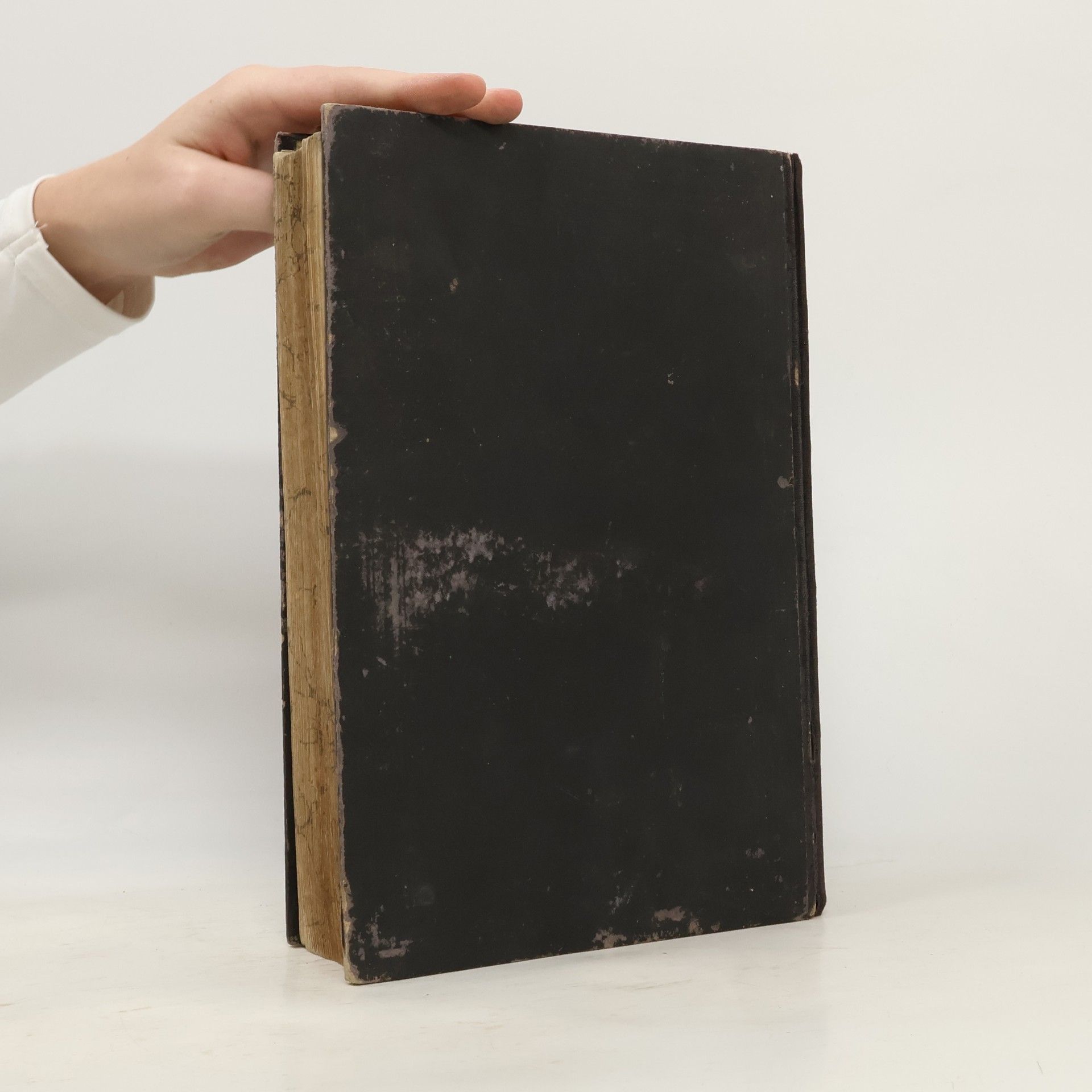 kolektiv Biblí svatá aneb Všecka Svatá písma Starého i Nového zákona. Podle posledního vydání kralického z roku 1613