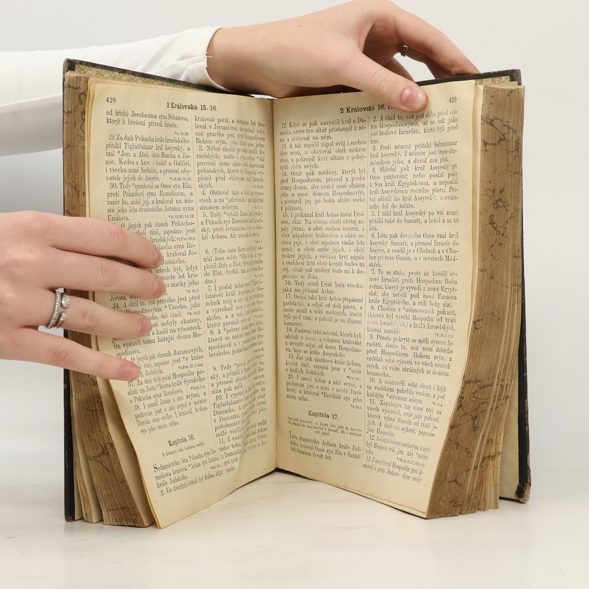 kolektiv Biblí svatá aneb Všecka Svatá písma Starého i Nového zákona. Podle posledního vydání kralického z roku 1613