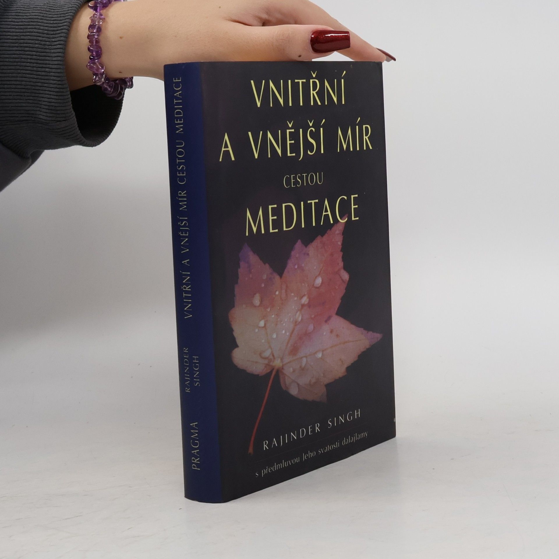 Rajinder Singh Vnitřní a vnější mír cestou meditace