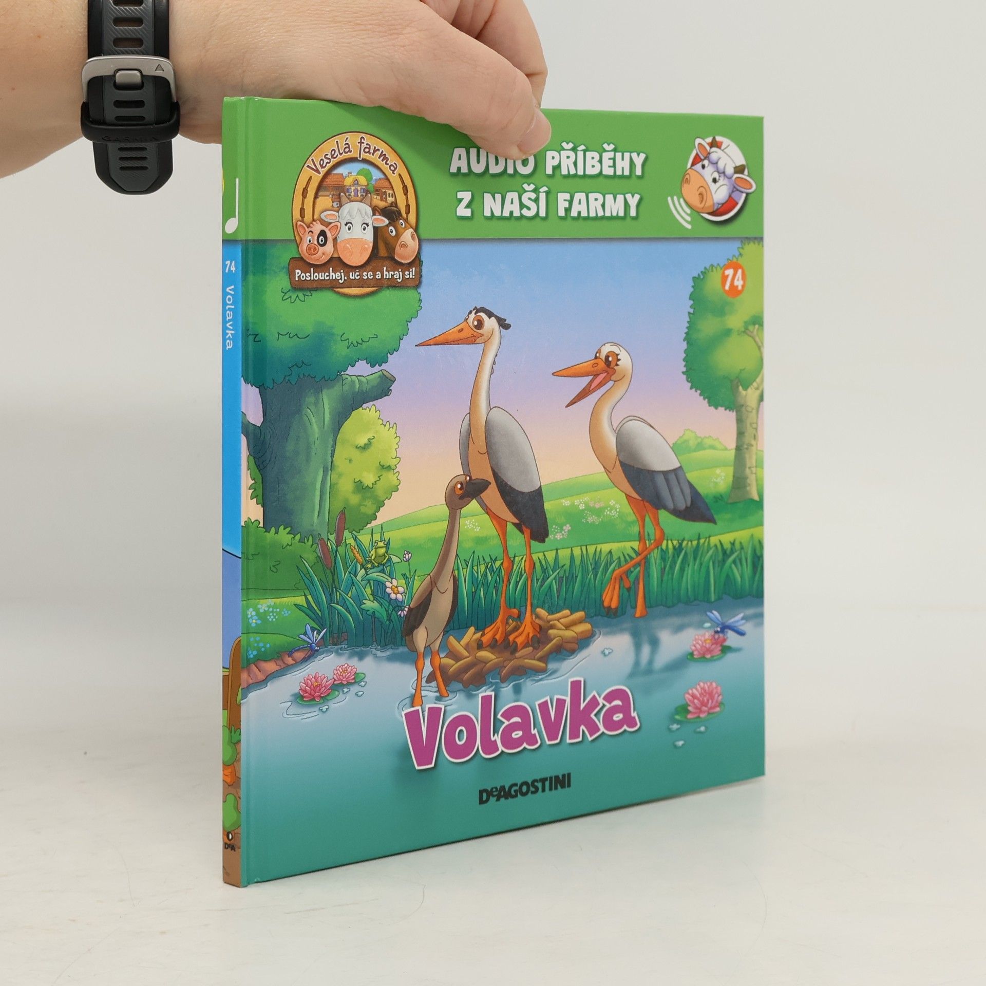 kolektiv Volavka