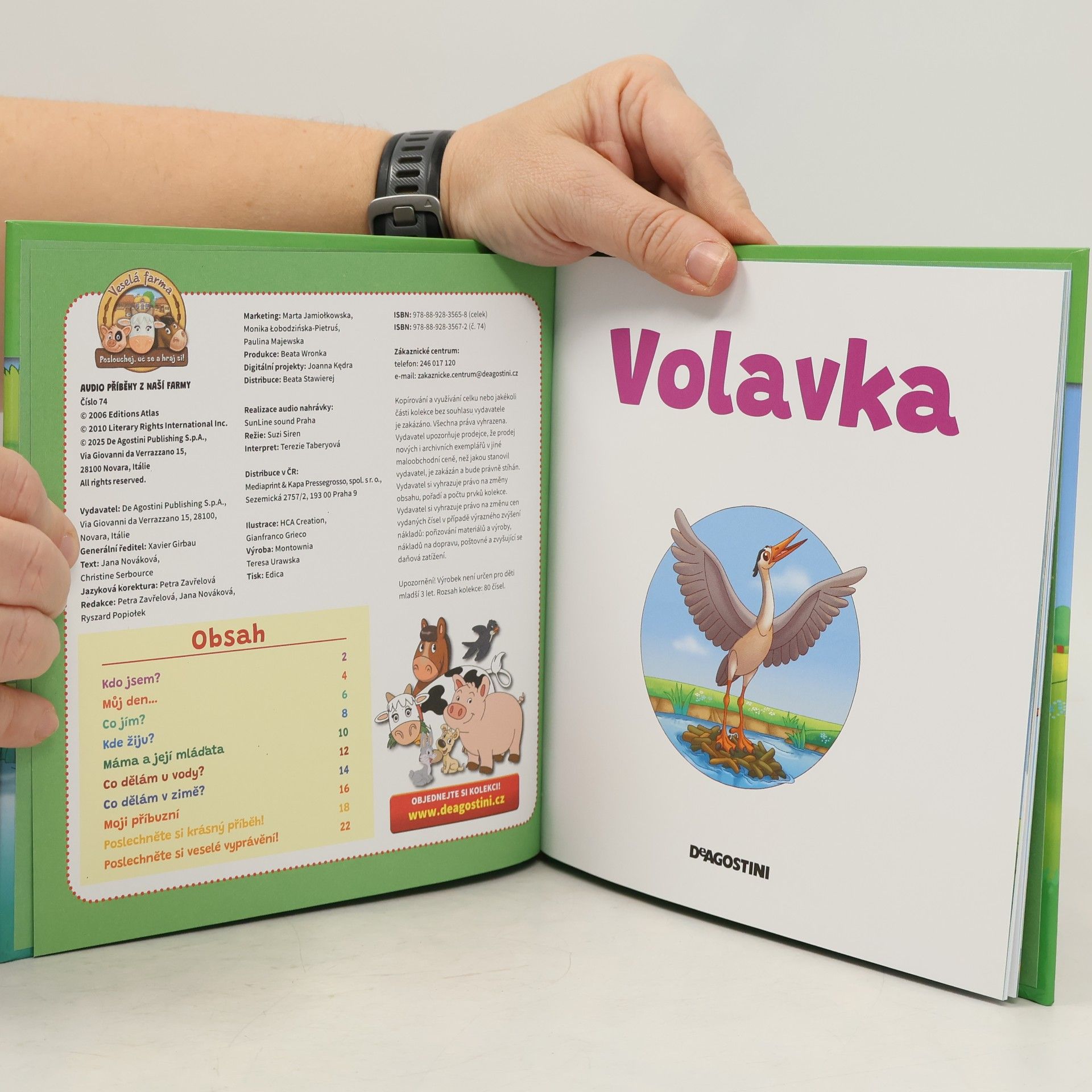 kolektiv Volavka