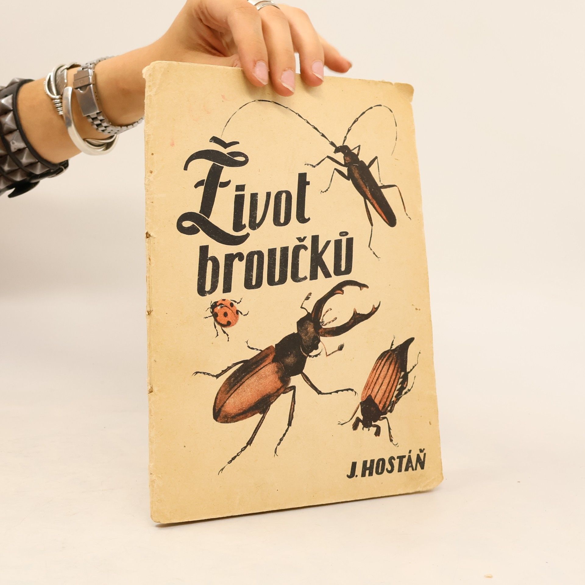 Život broučků