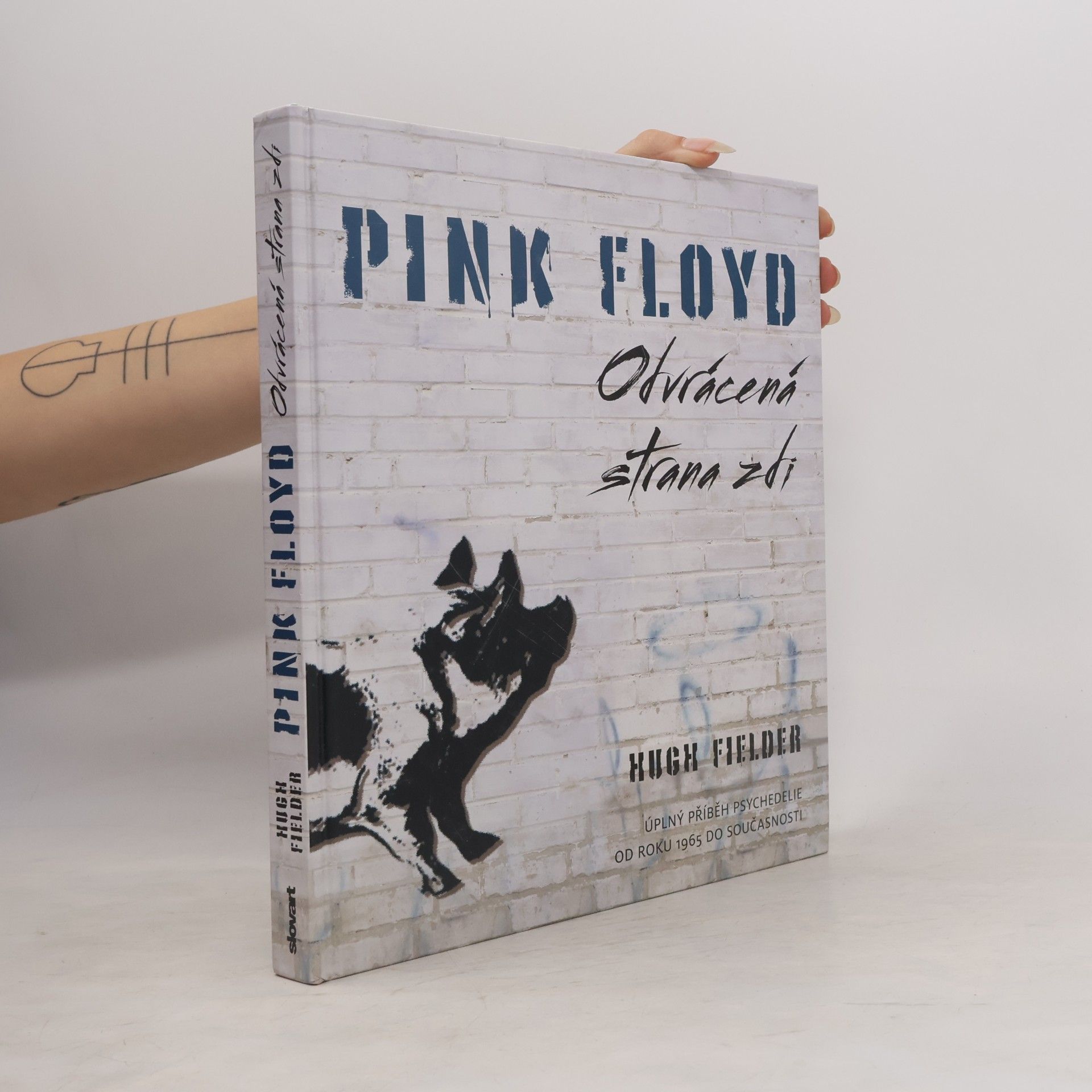 Hugh Fielder Pink Floyd : odvrácená strana zdi : úplný příběh psychedelie od roku 1965 do současnosti