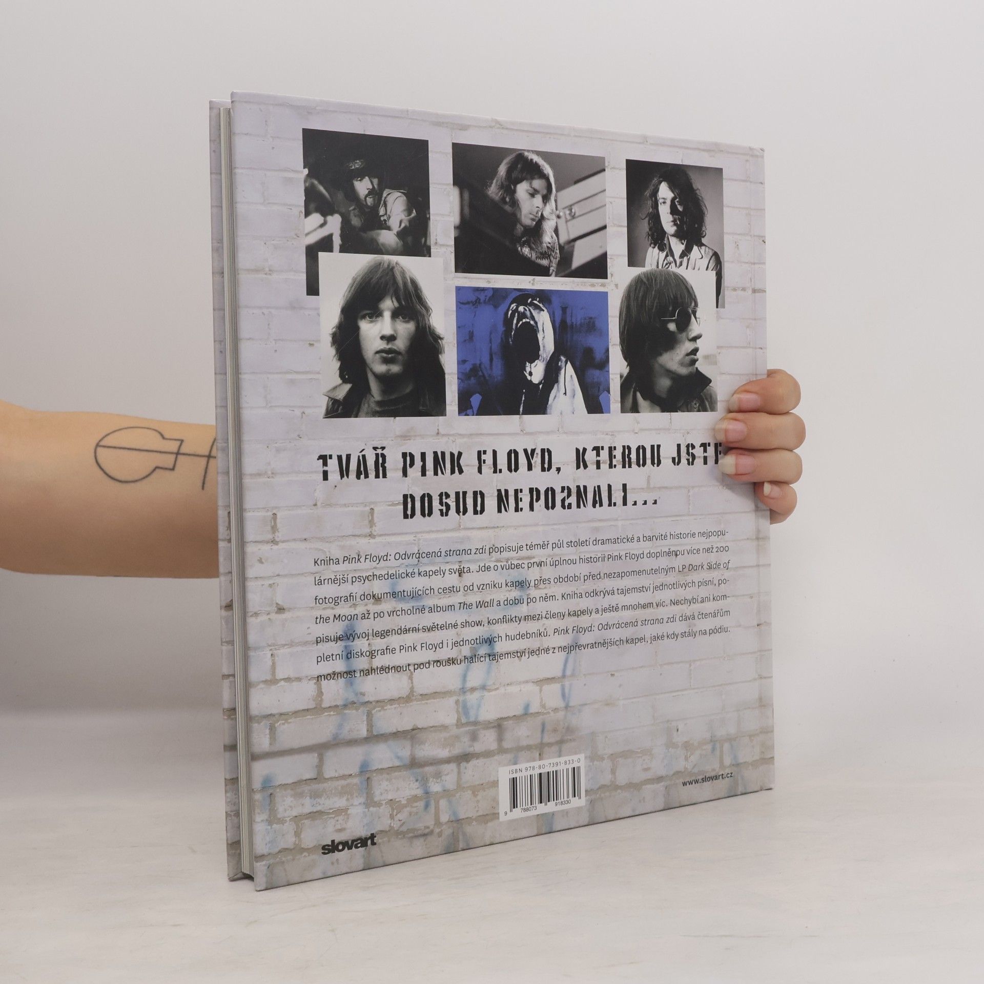Hugh Fielder Pink Floyd : odvrácená strana zdi : úplný příběh psychedelie od roku 1965 do současnosti
