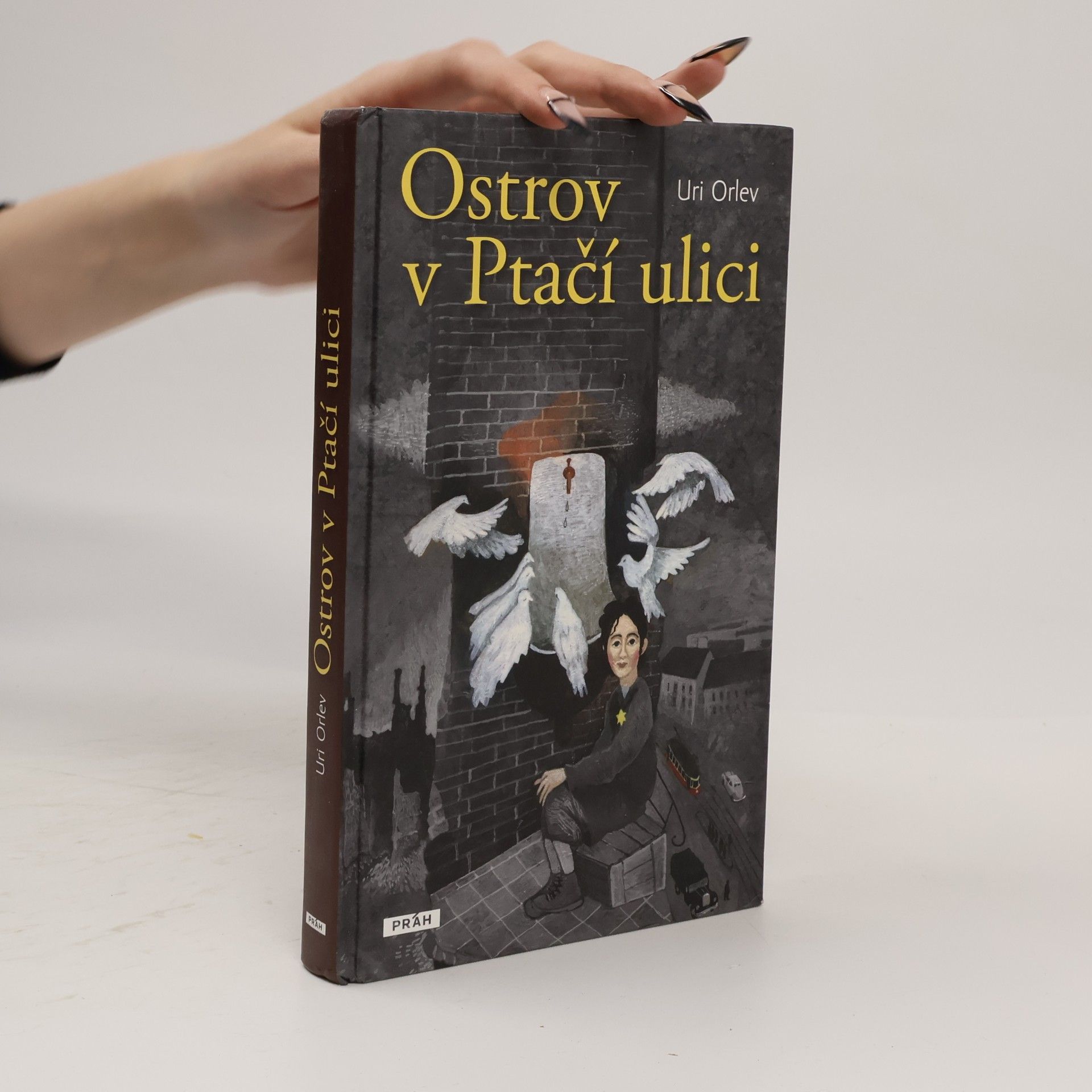 Uri Orlev Ostrov v Ptačí ulici