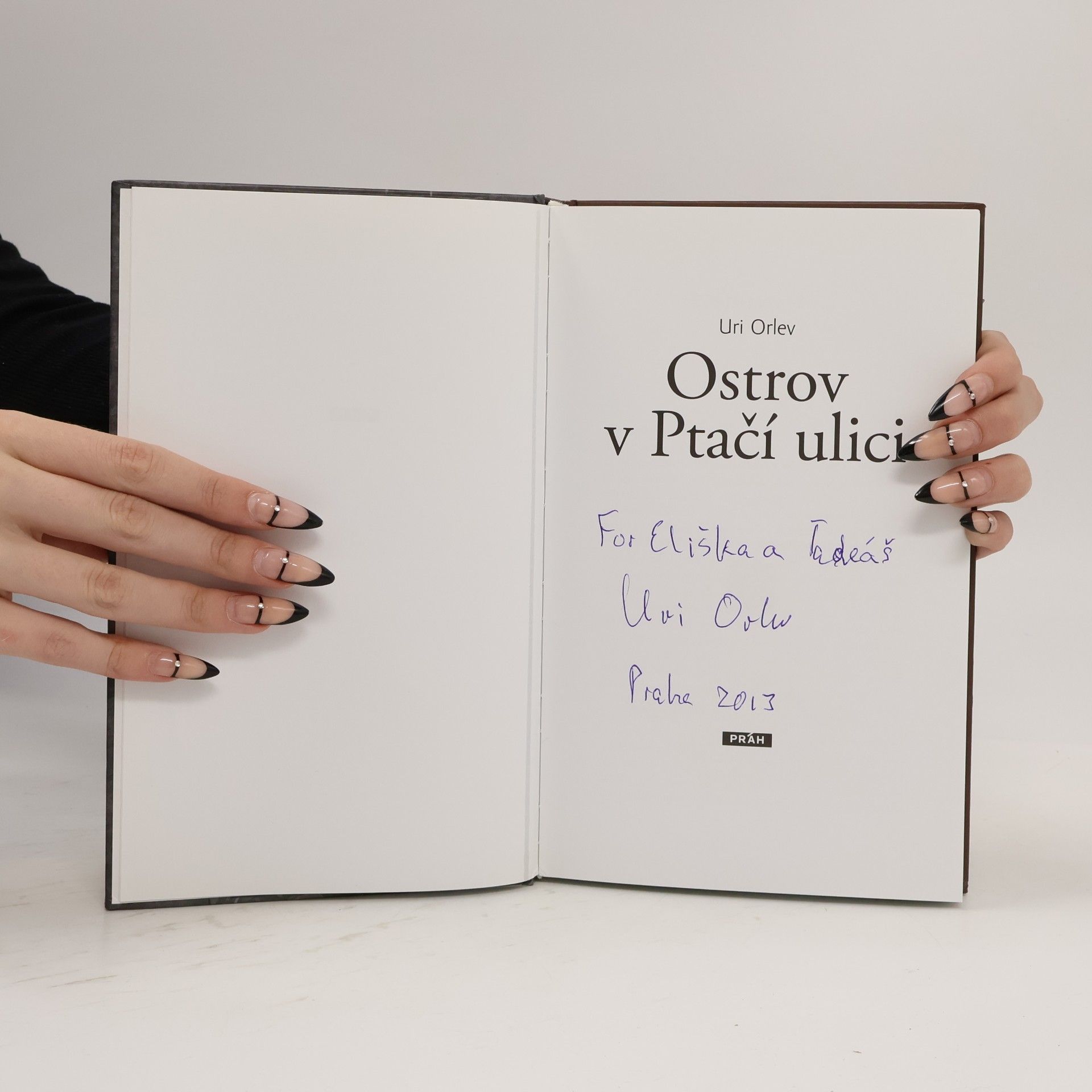 Uri Orlev Ostrov v Ptačí ulici