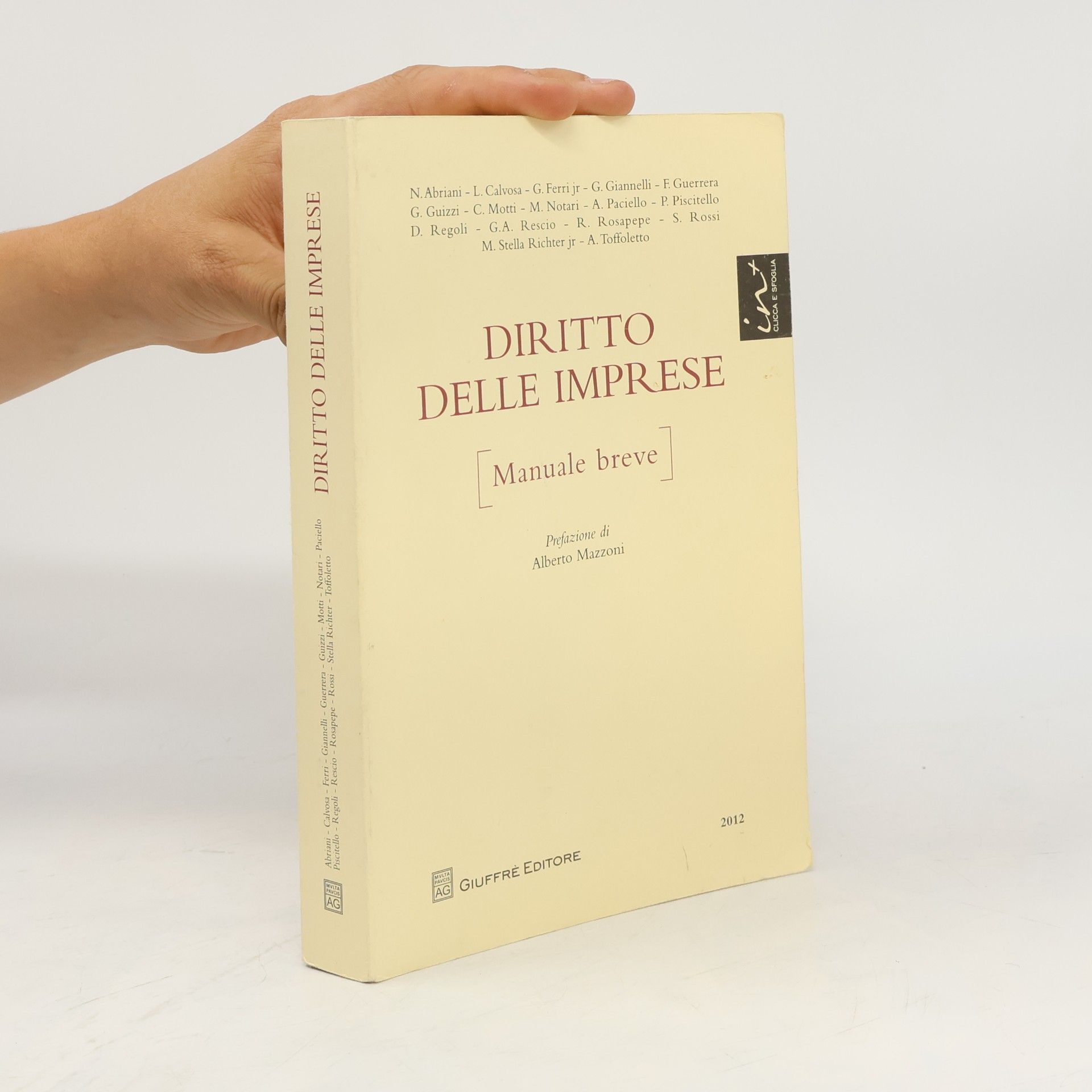 F. Guerrera Diritto delle imprese