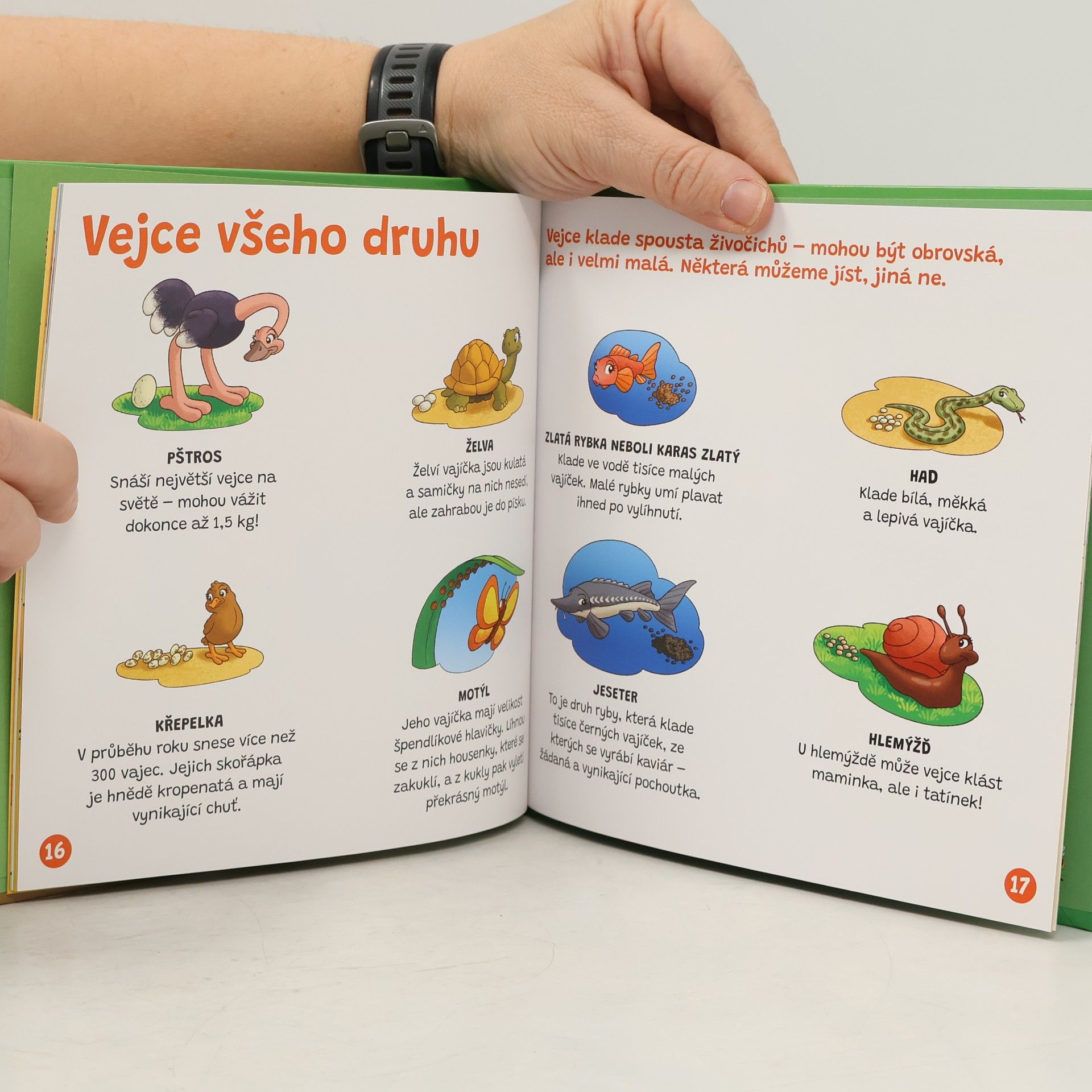 Autorenkollektiv Příběhy z naší farmy 54. Vejce
