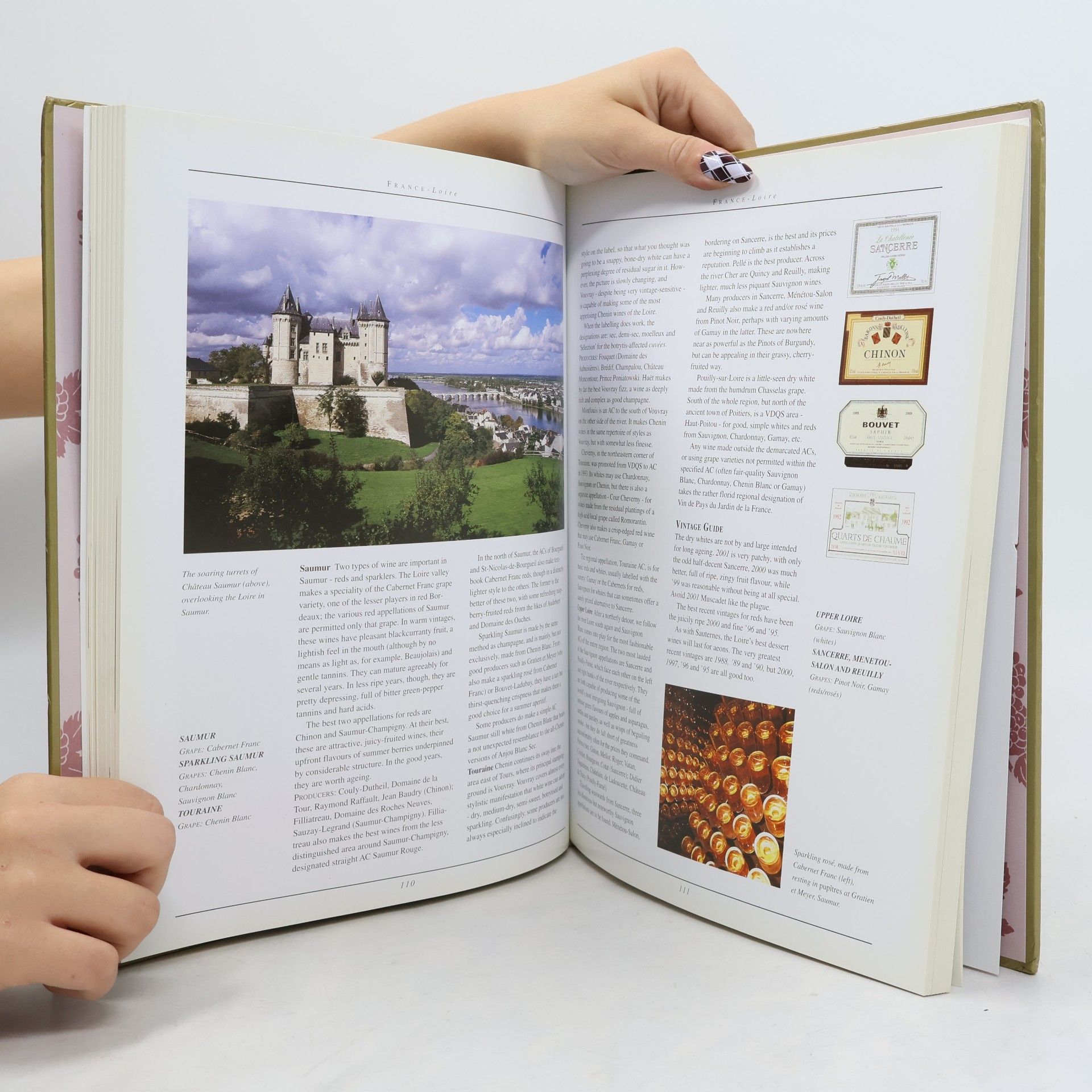 Stuart Walton The World Encyclopedia of Wine