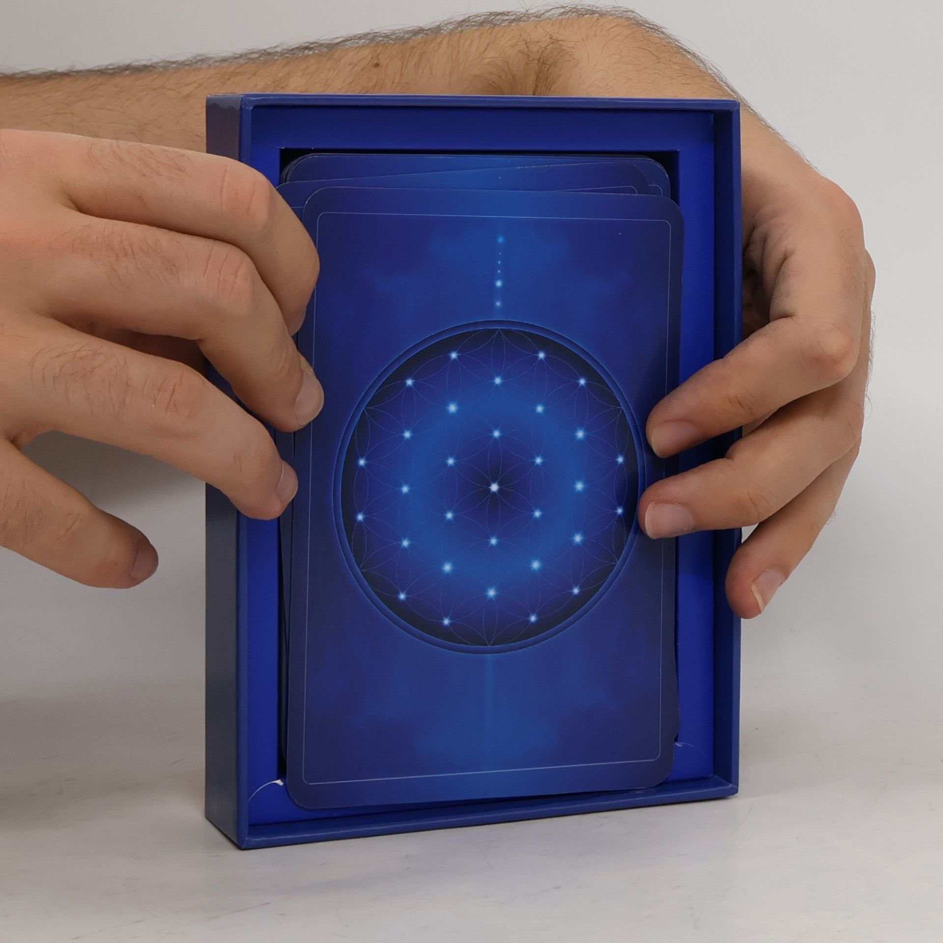 Kolektiv autorů Sacred Geomtery Activation Oracle