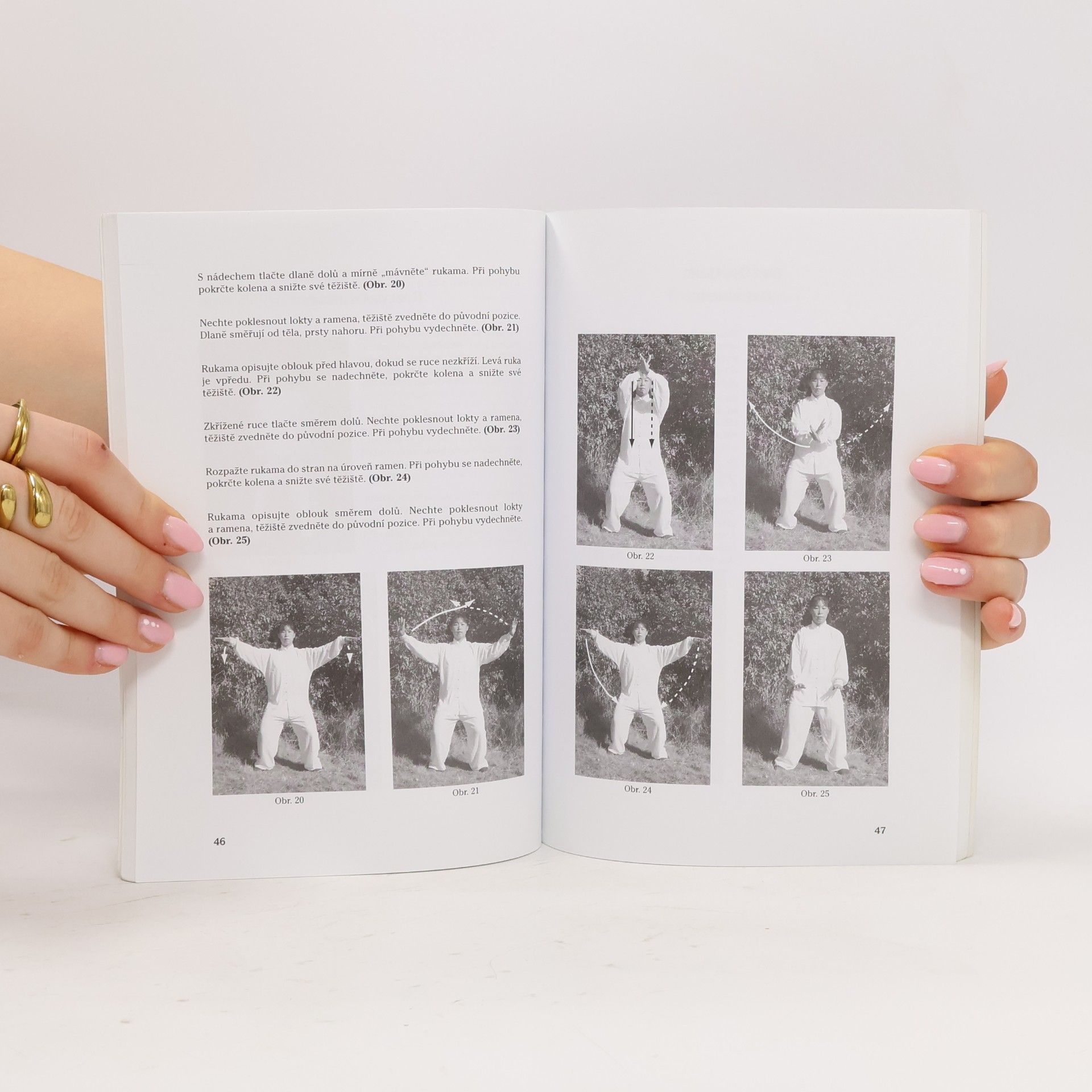 Shifu Zhai Hua Chenjiagou Taijiquan. Základní dovednosti. 13 forem
