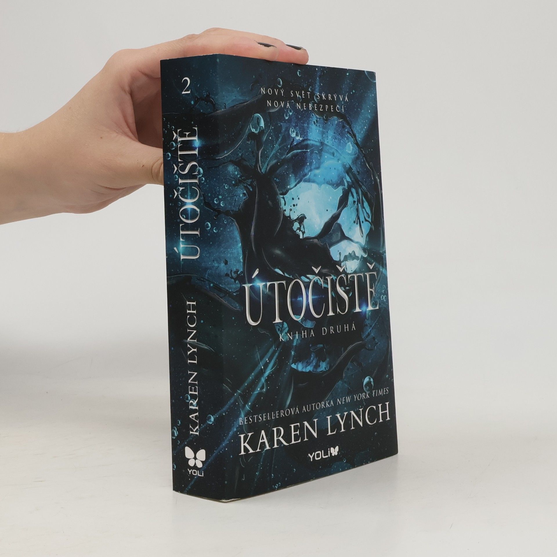Karen Karen A. Lynch Útočiště