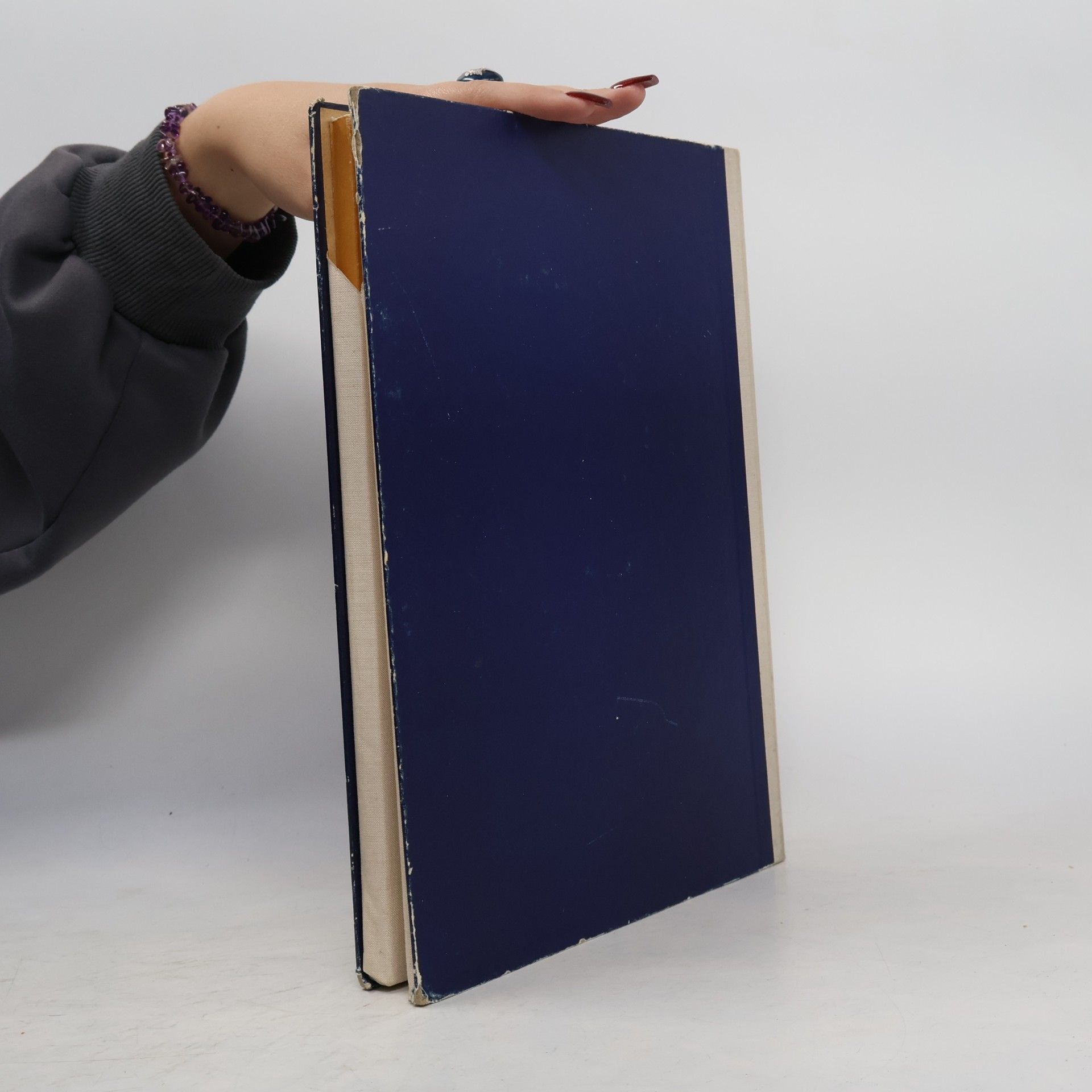 Walter Schenk Die Schrift im Malerhandwerk