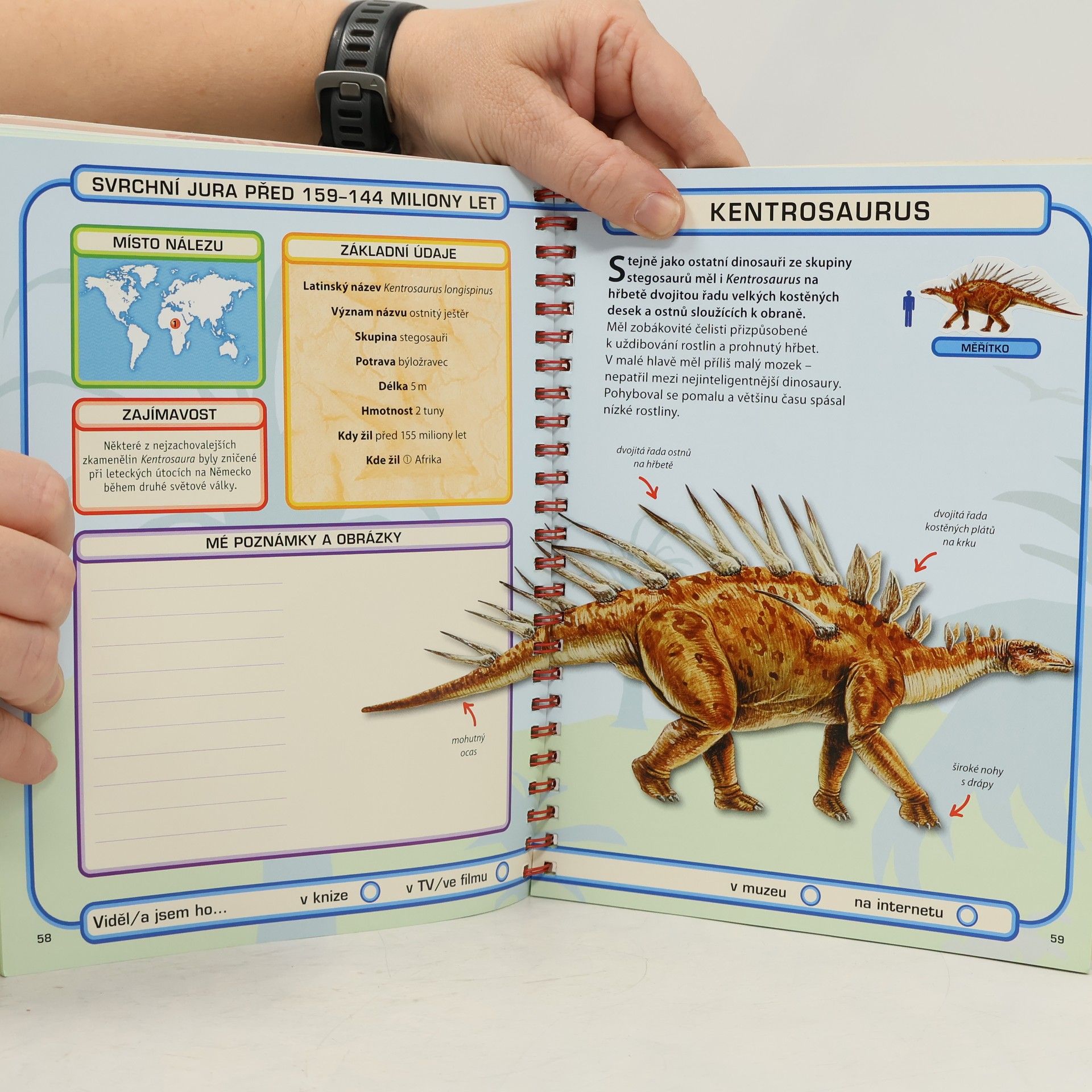 AA.VV. Dinosauři