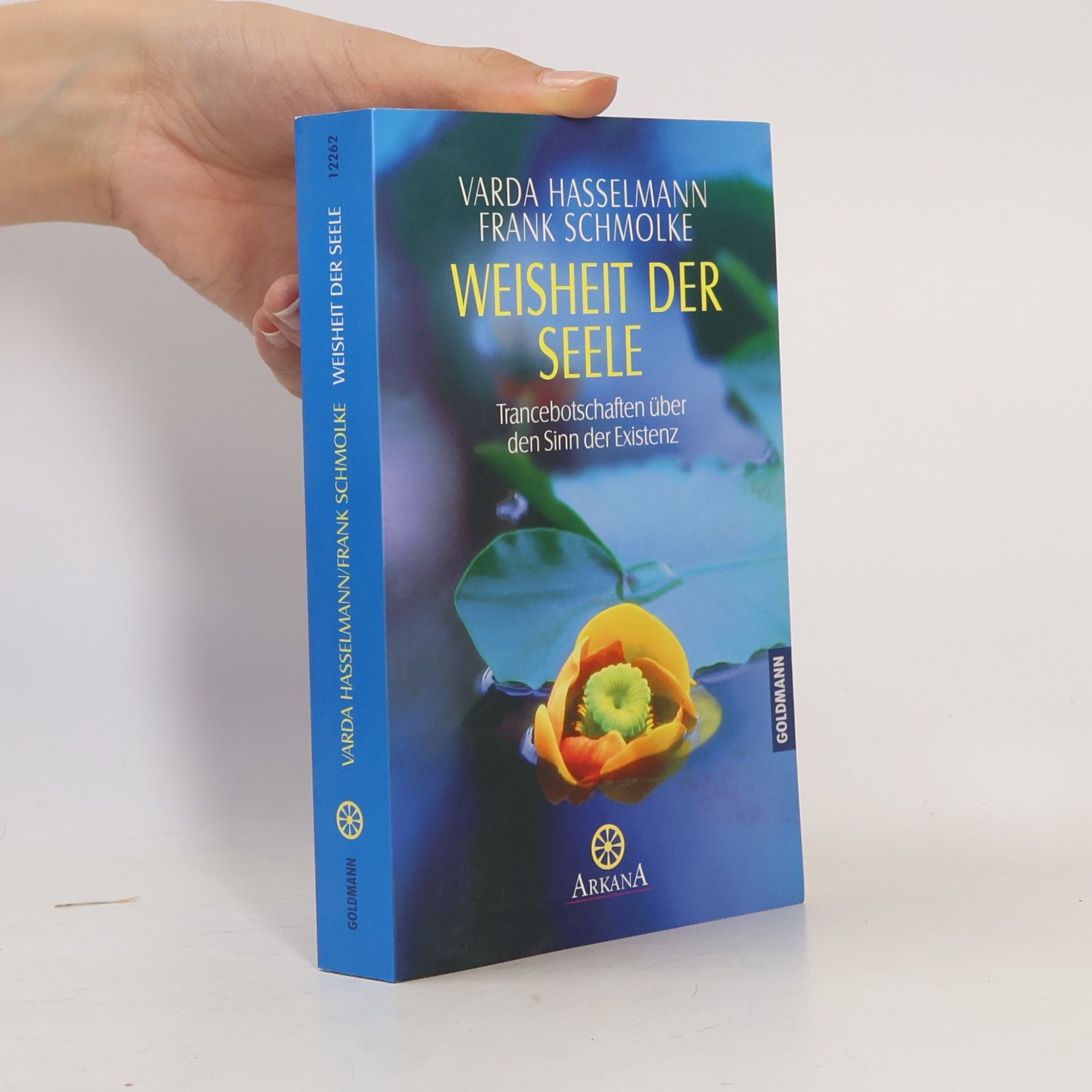 Varda Hasselmann Durchsagen aus der kausalen Welt 3