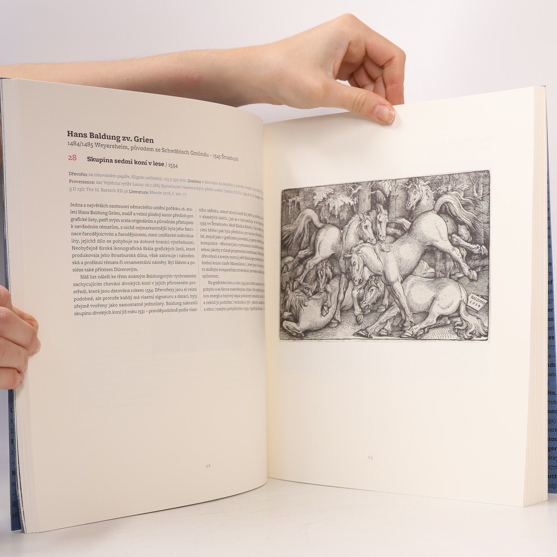 Alena Vlasáková Mistrovská díla Sbírky grafiky a kresby Národní galerie v Praze I