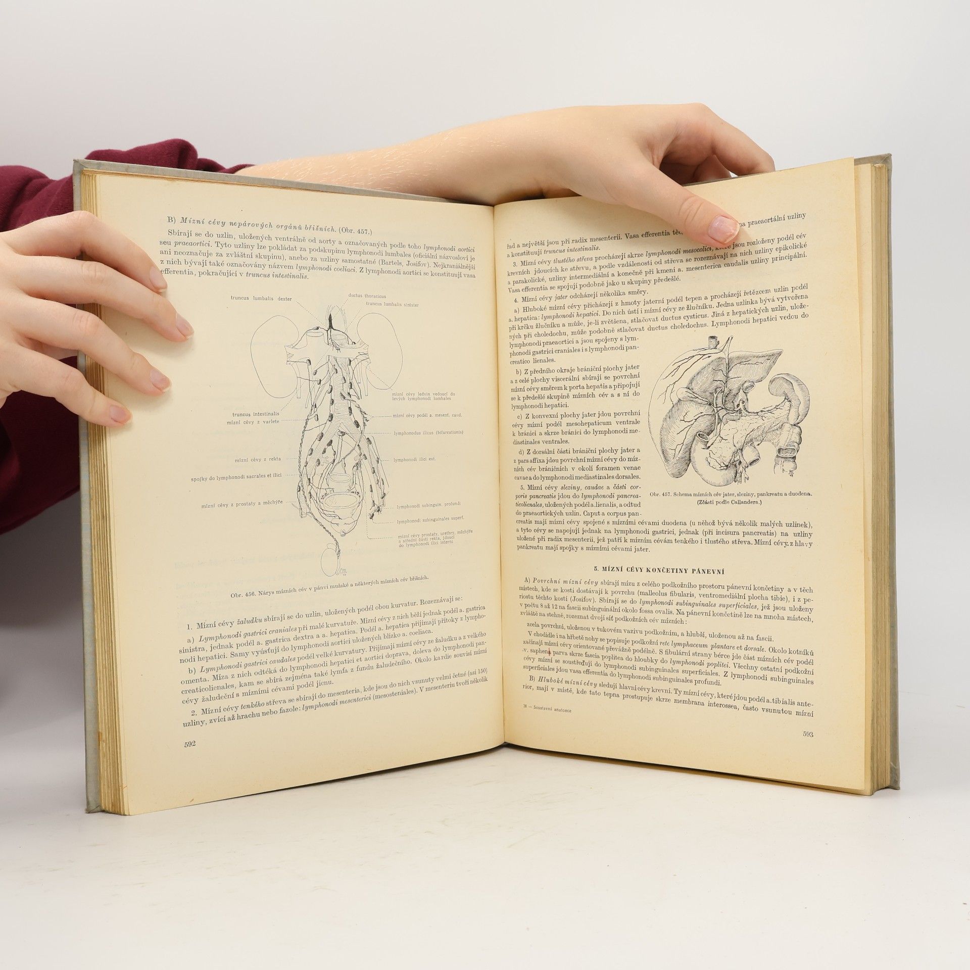 Auteurscollectief Soustavná anatomie člověka II.