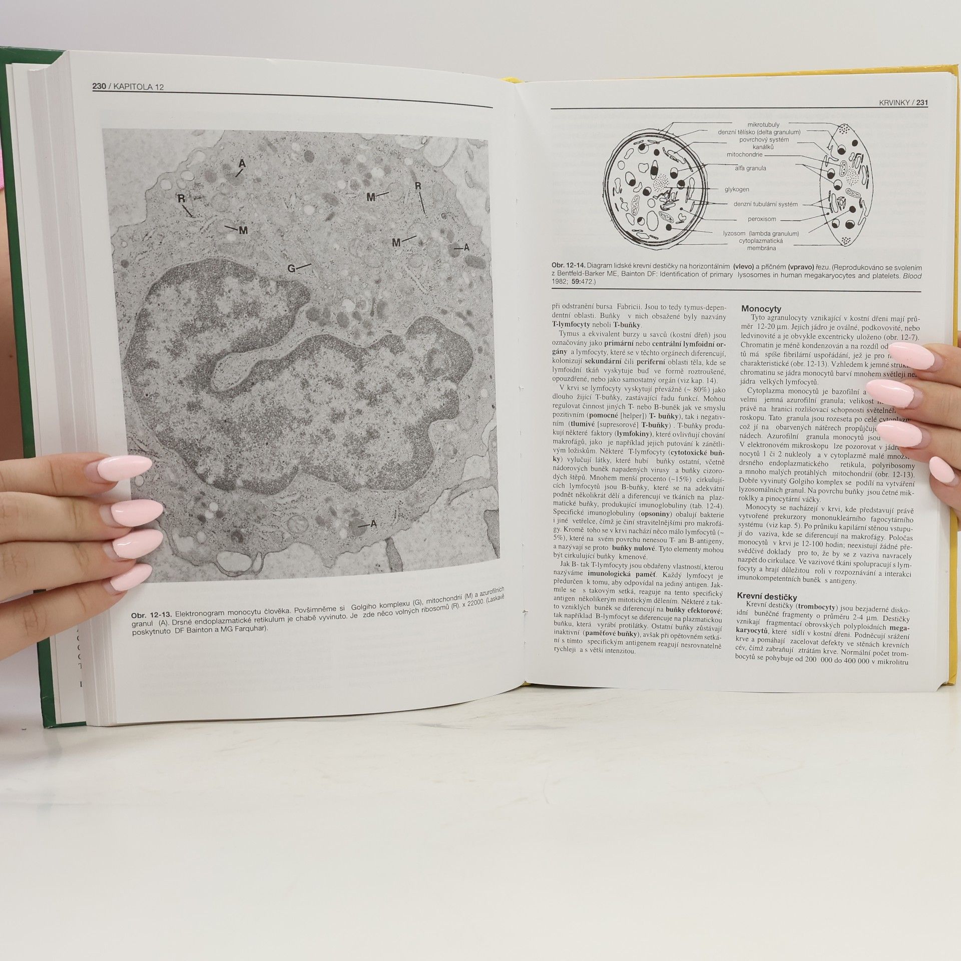 Richard Jelínek Základy histologie