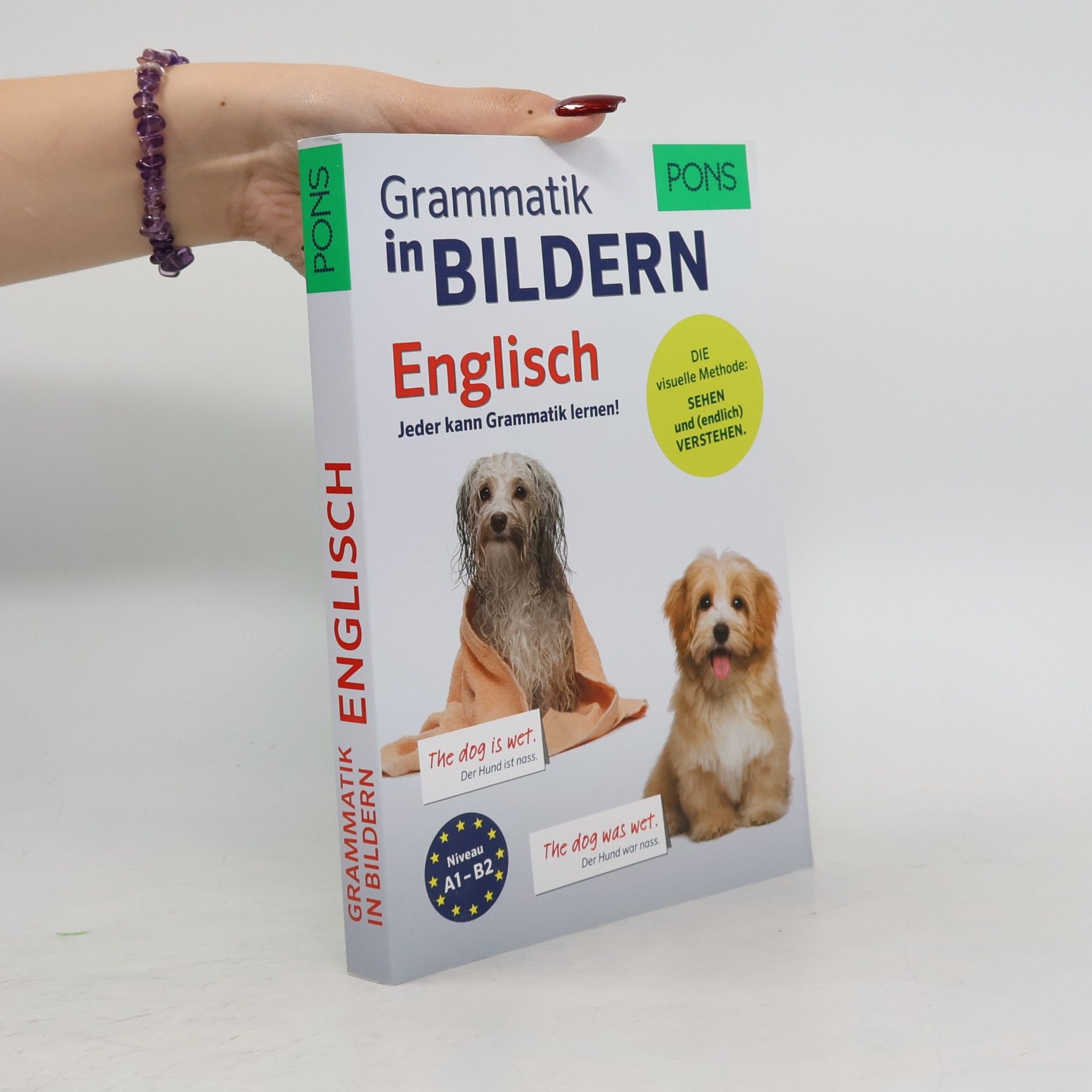 PONS Grammatik in Bildern Englisch