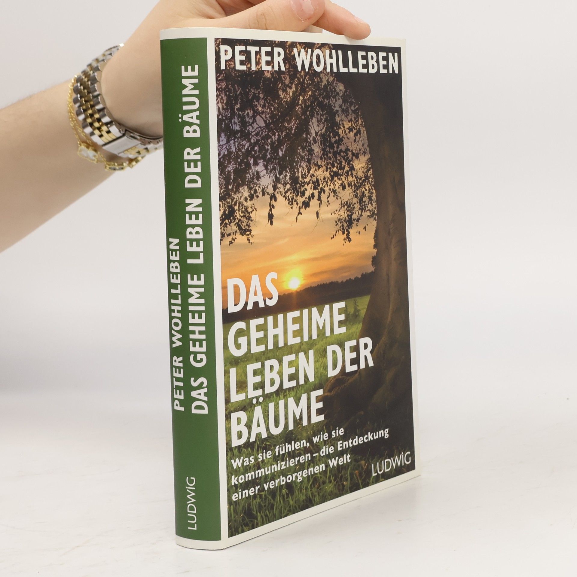 Peter Wohlleben Das geheime Leben der Bäume