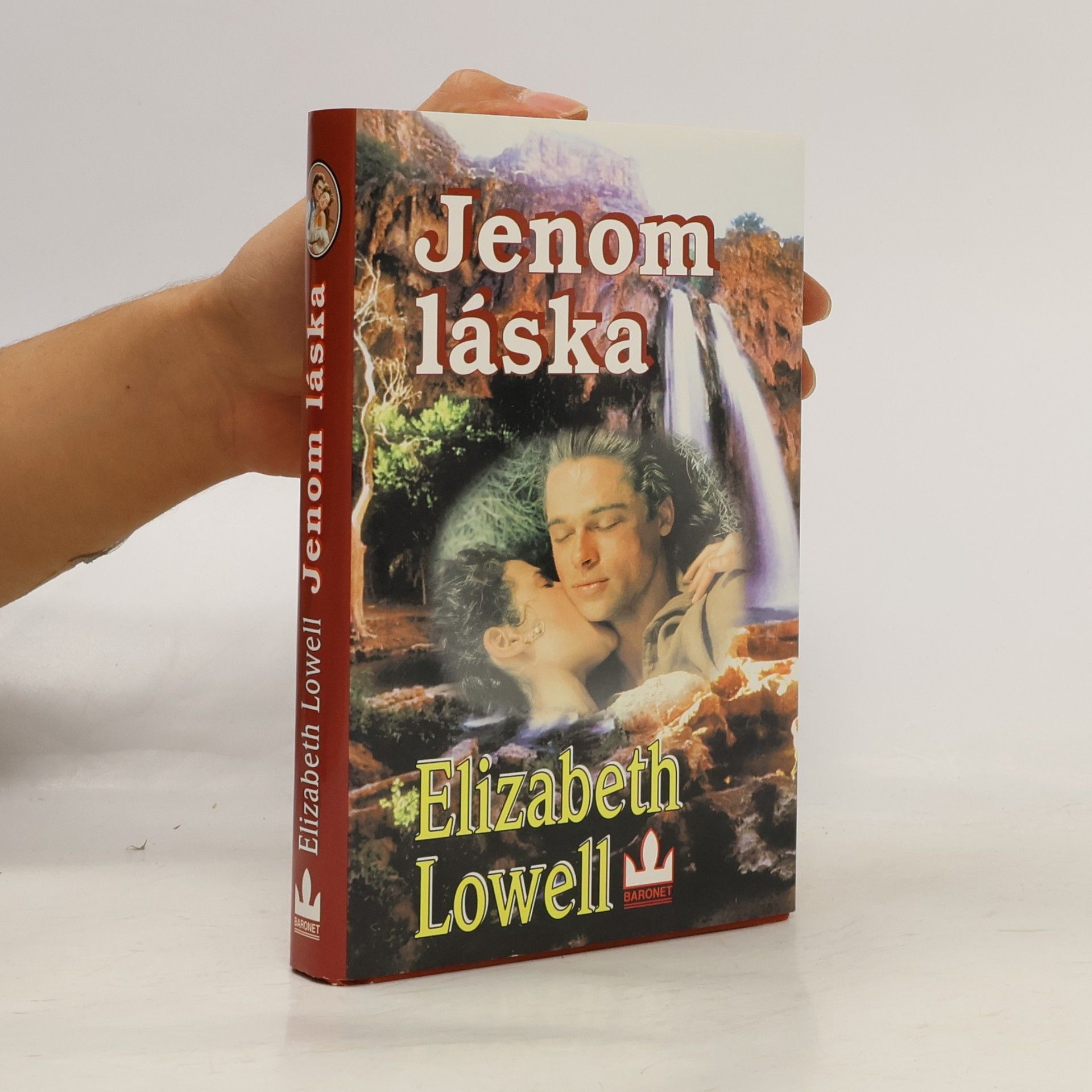 Ann Maxwell Jenom láska