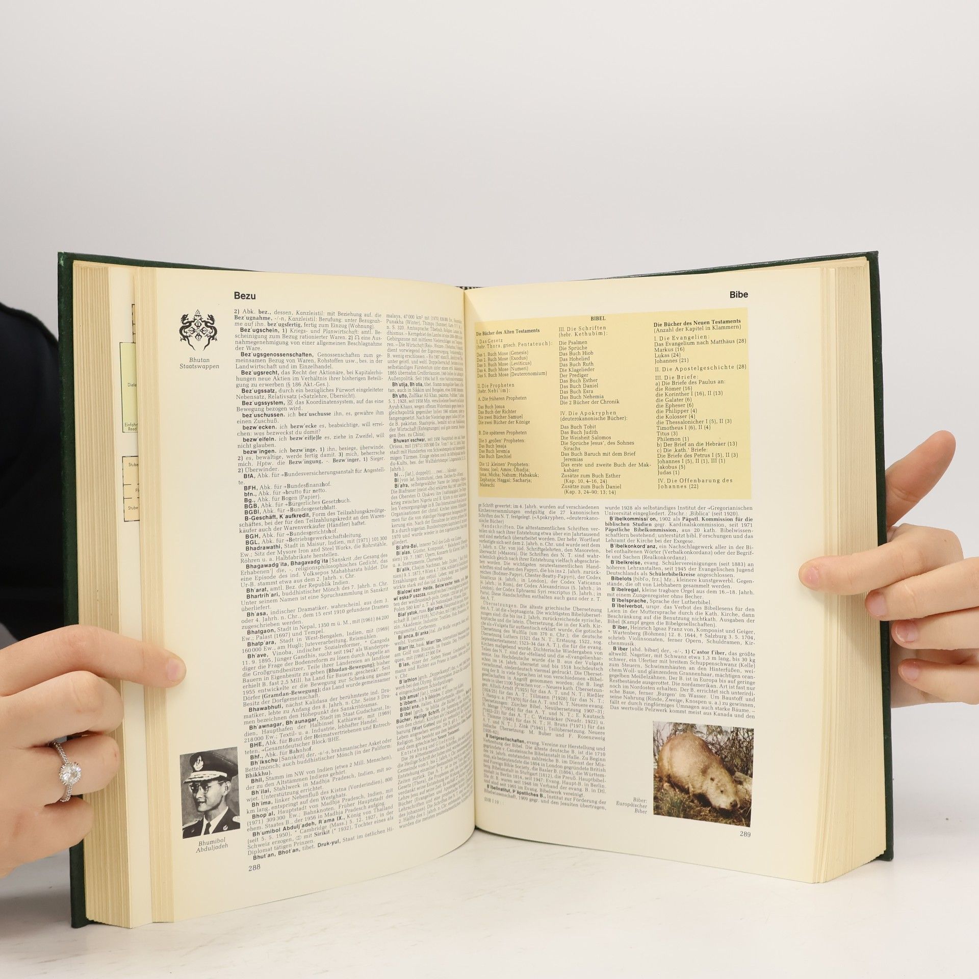Collectif d'auteurs Der neue Brockhaus 1: A-Eic