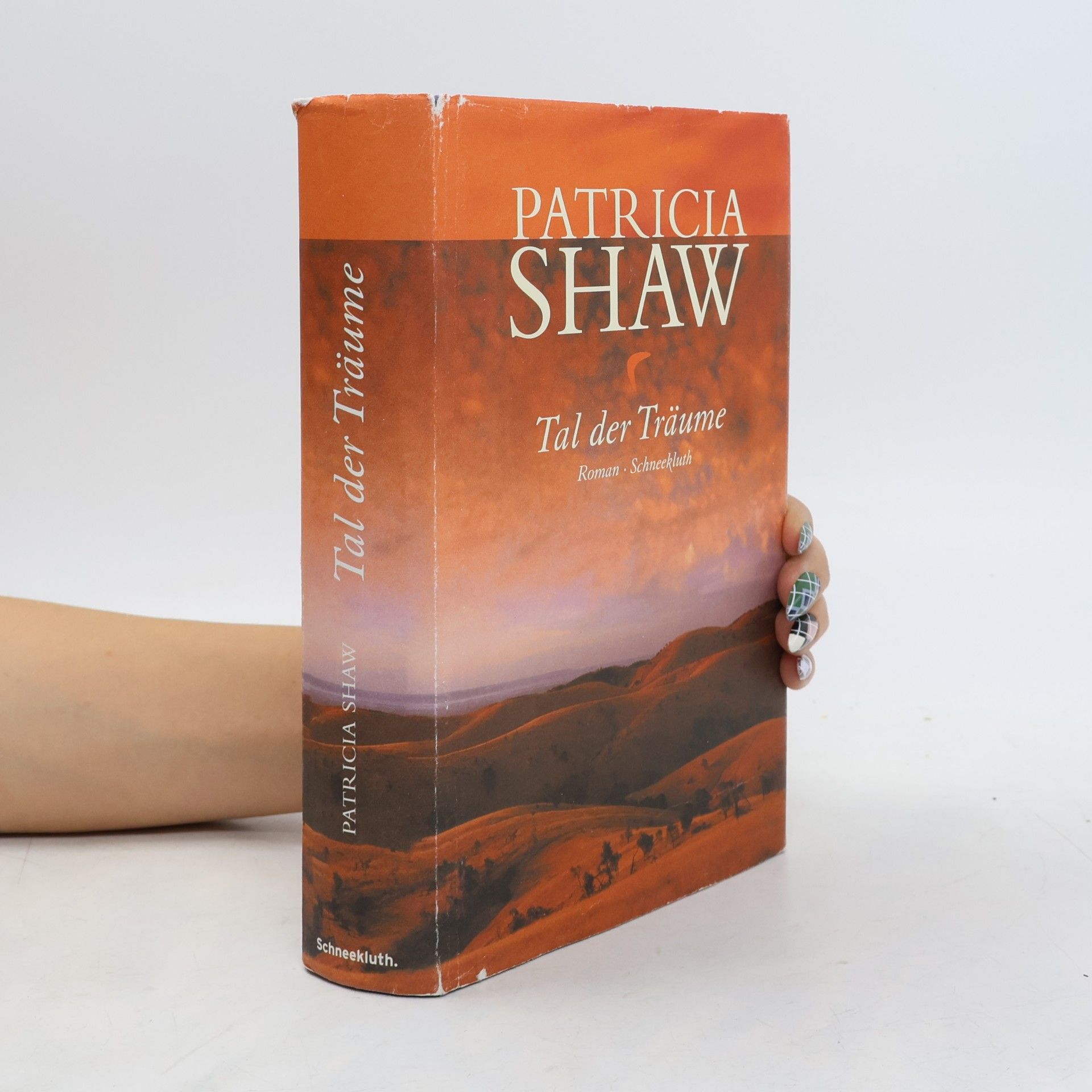 Patricia Shaw Tal der Träume