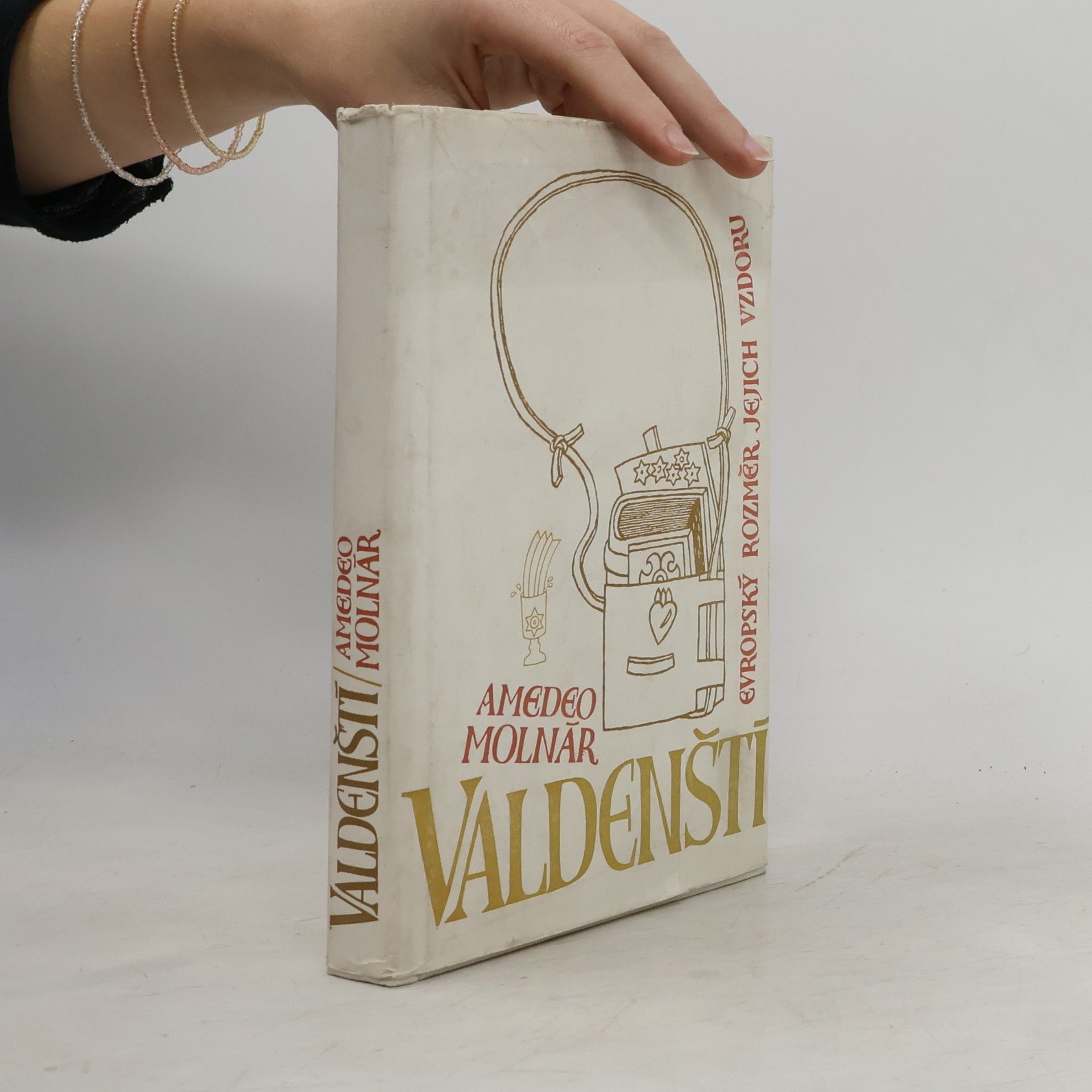 Amedeo Molnár Valdenští. Evropský rozměr jejich vzdoru