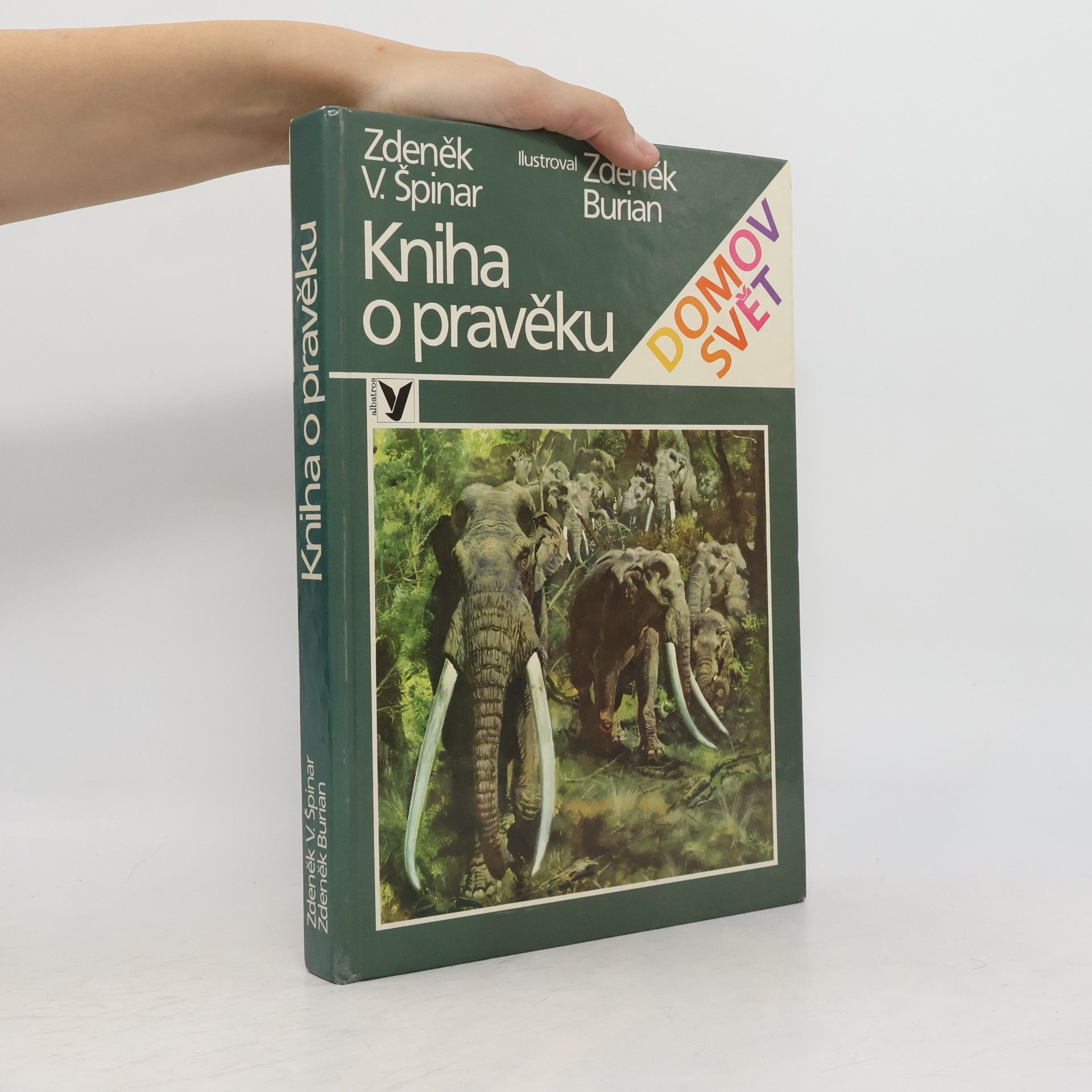 Kniha o pravěku
