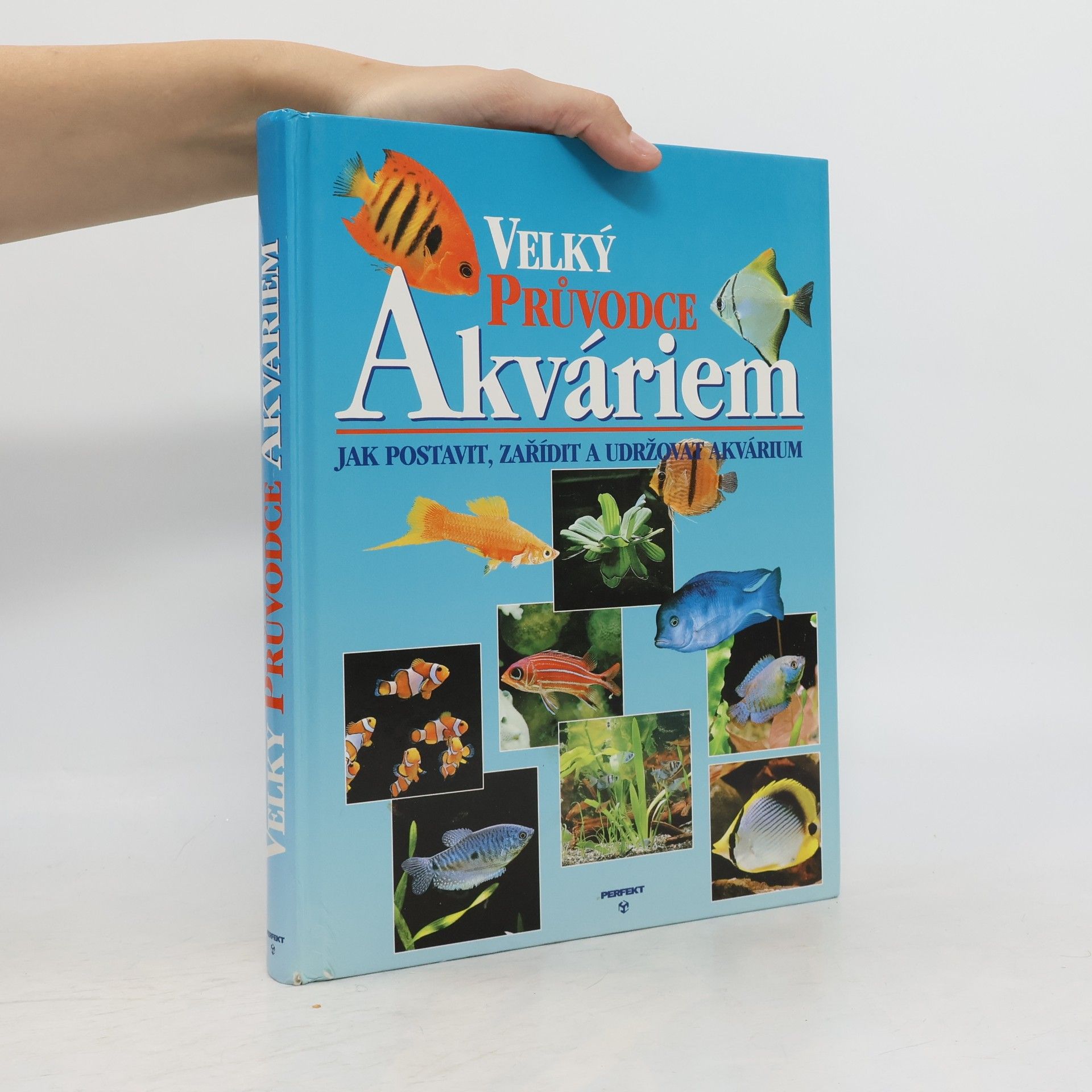 Thierry Maitre Allain Velký průvodce akváriem