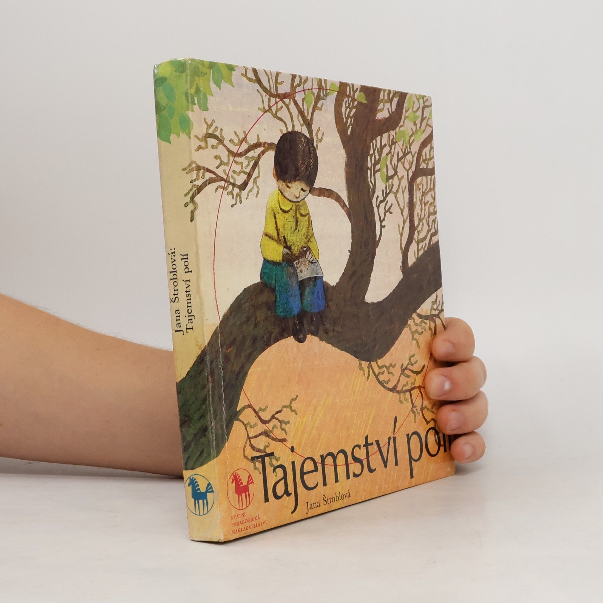 Jana Štroblová Tajemství polí