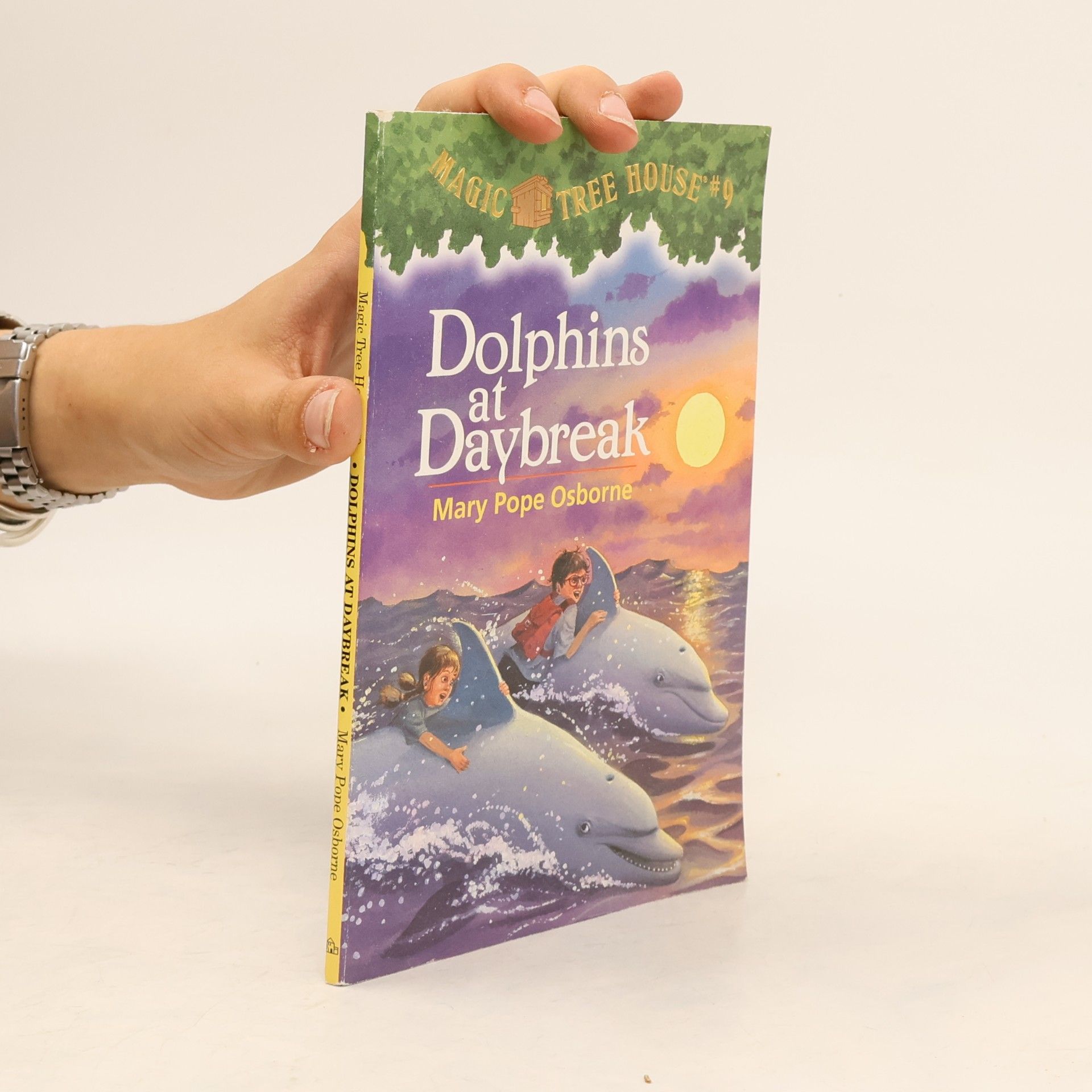 Dolphins at Daybreak