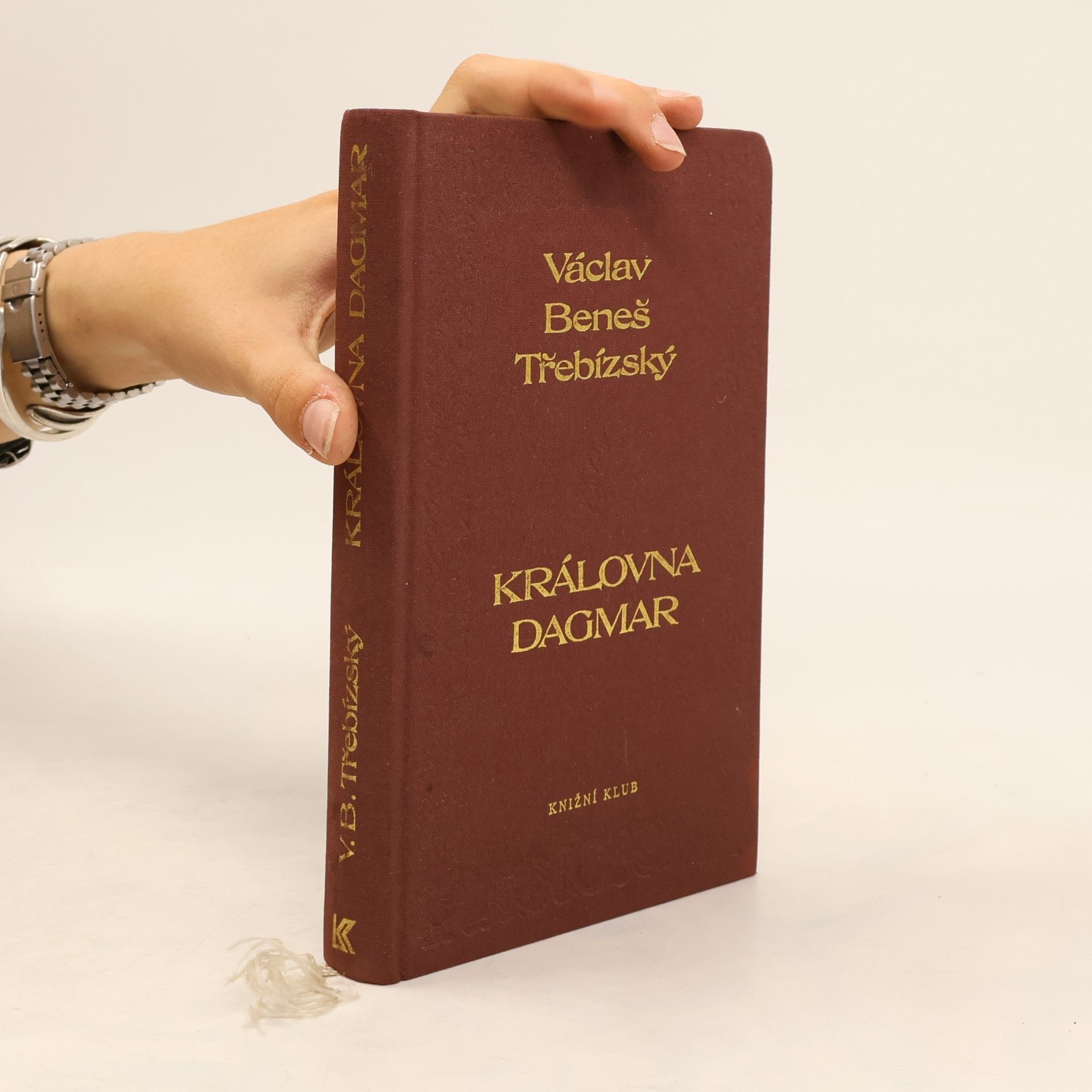 Václav Beneš Třebízský Královna Dagmar