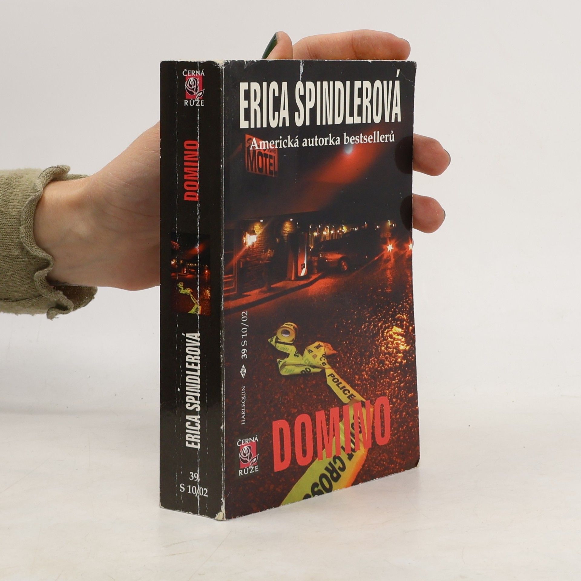 Erica Spindler Domino