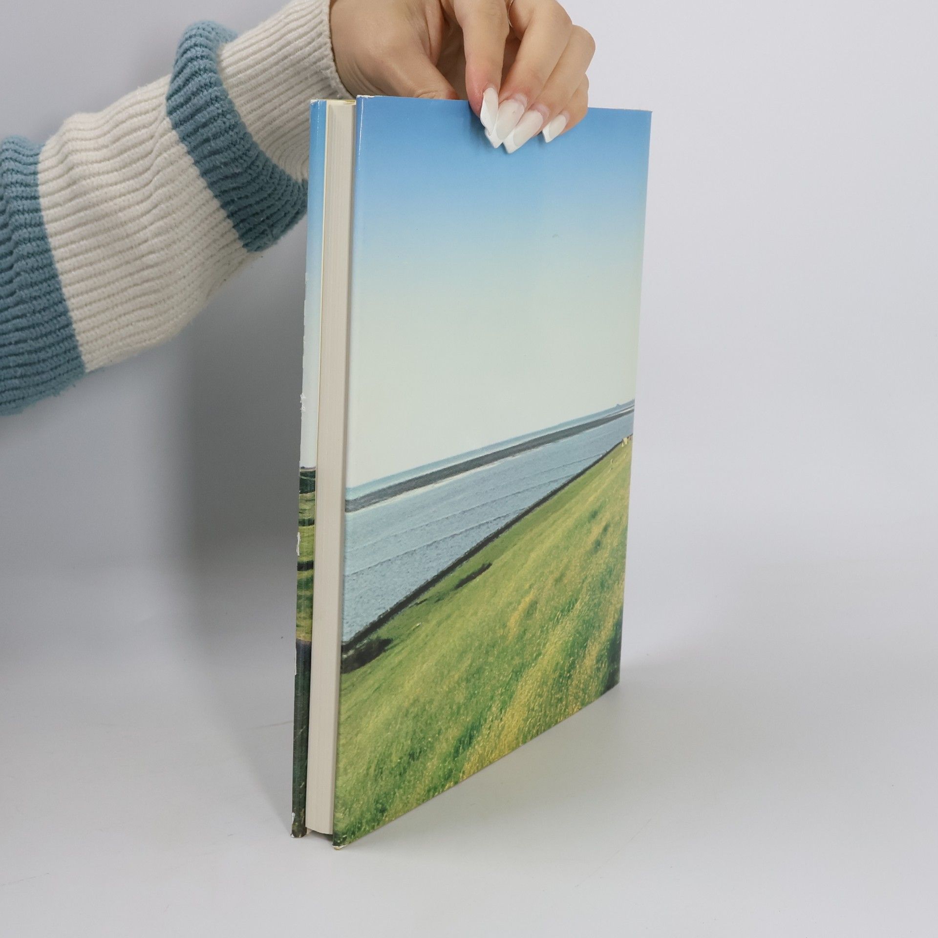 Robert Stadelmann Meer - Deiche - Land