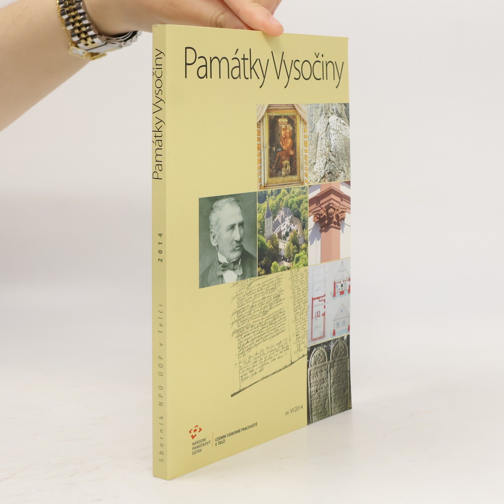 David Merta Památky Vysočiny. Sborník NPÚ, ÚOP v Telči 2014
