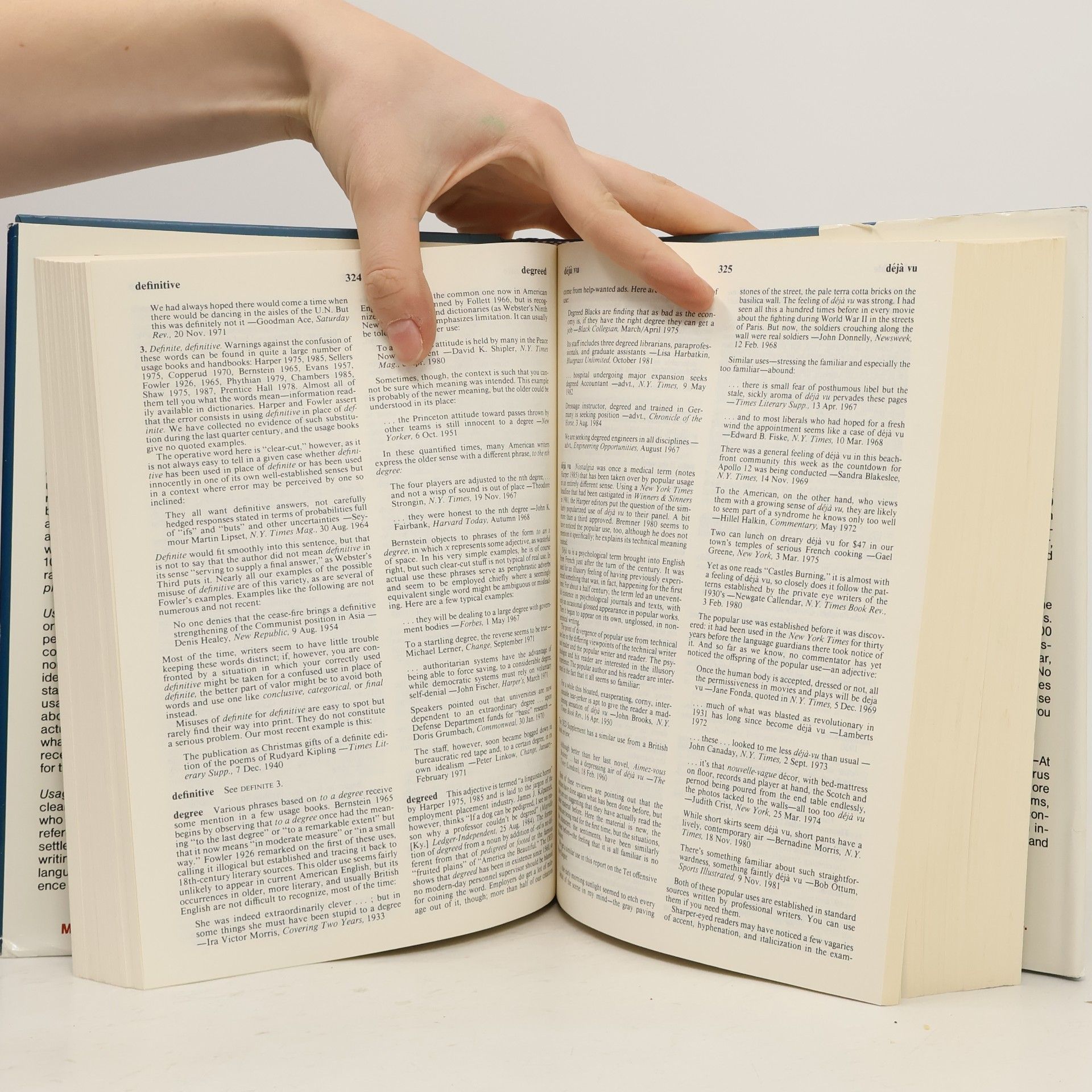 Inc MerriamWebster Webster's dictionary of english usage