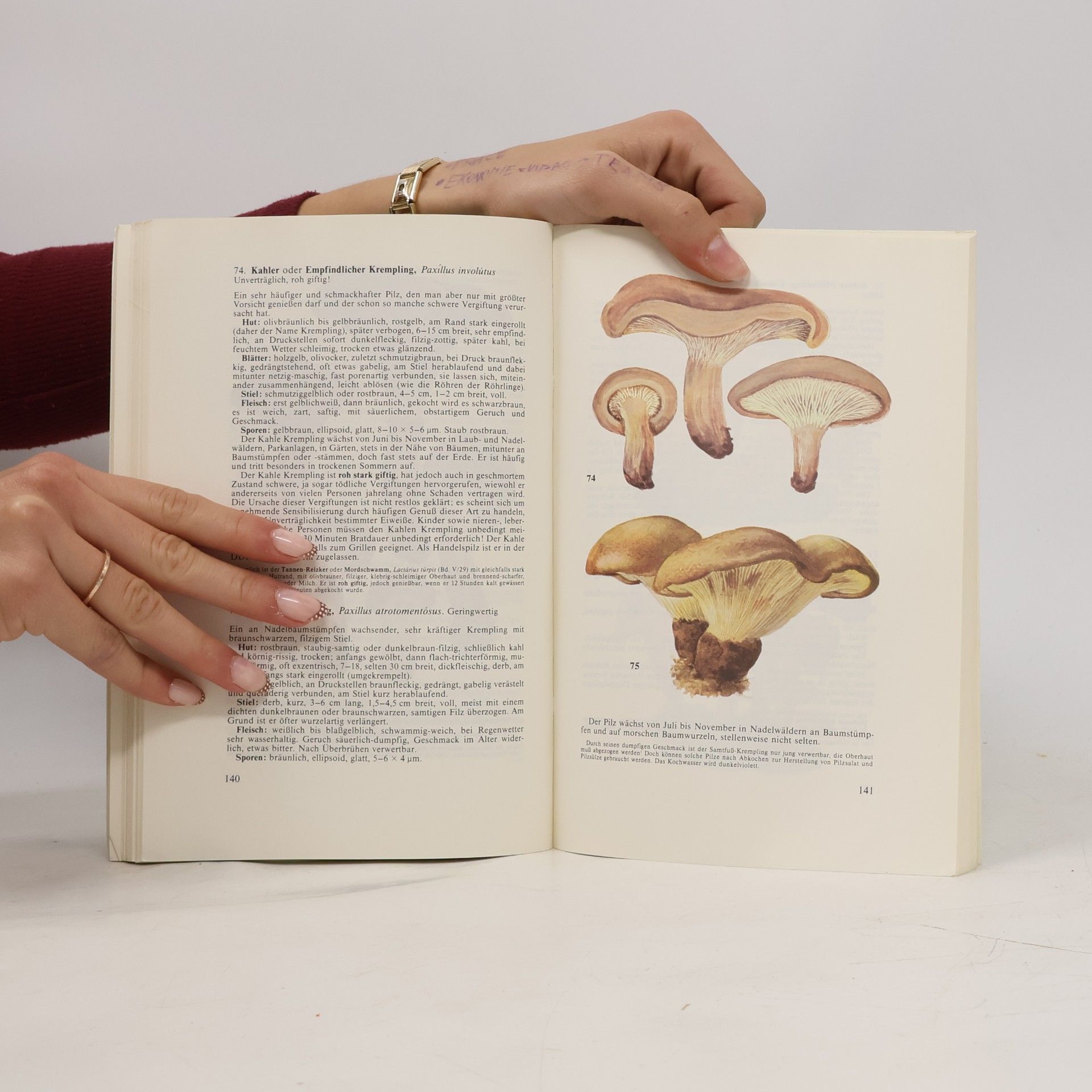 Hanns Kreisel Taschenbuch für Pilzfreunde