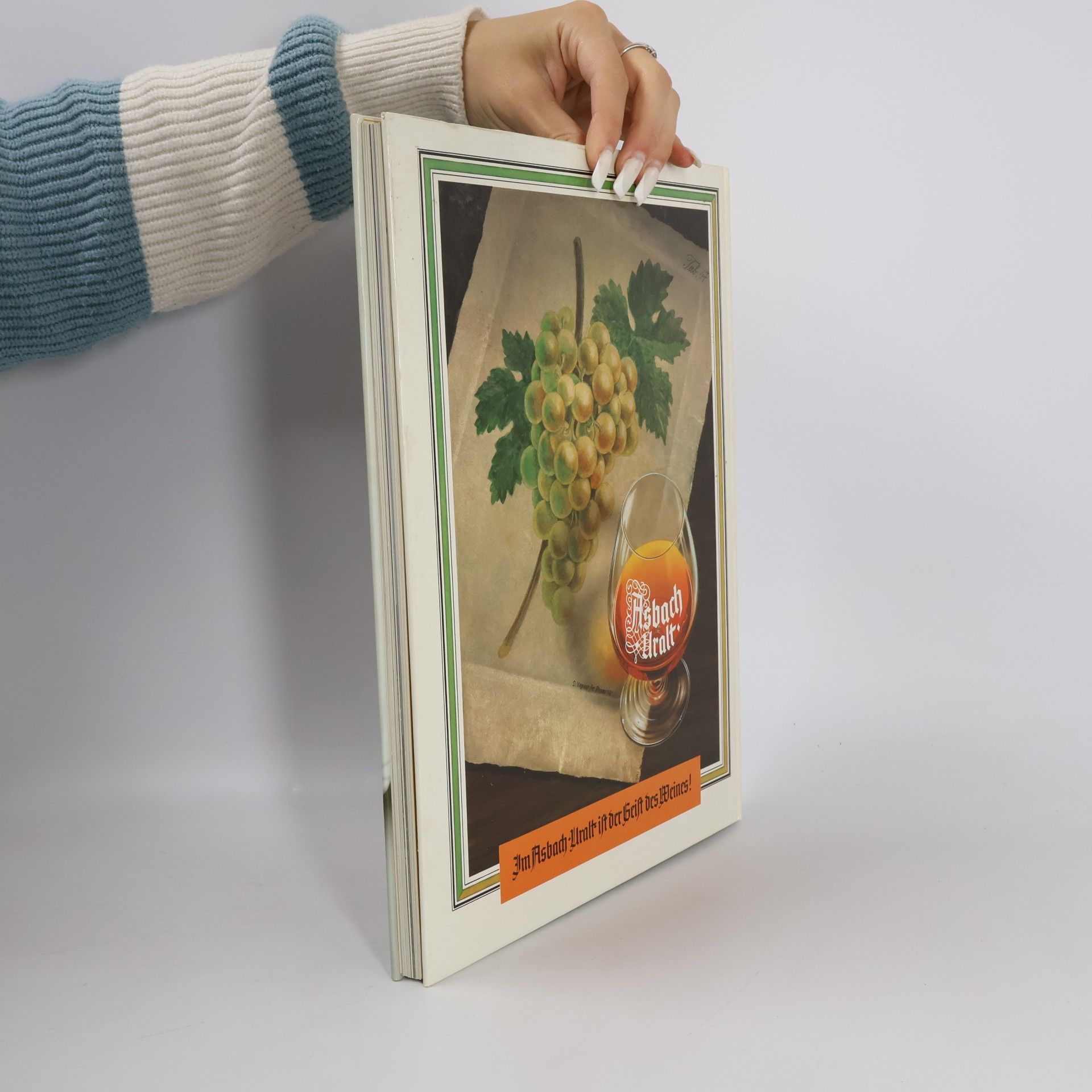 Kolektiv autorů Gormet 38, Die klassische Küche