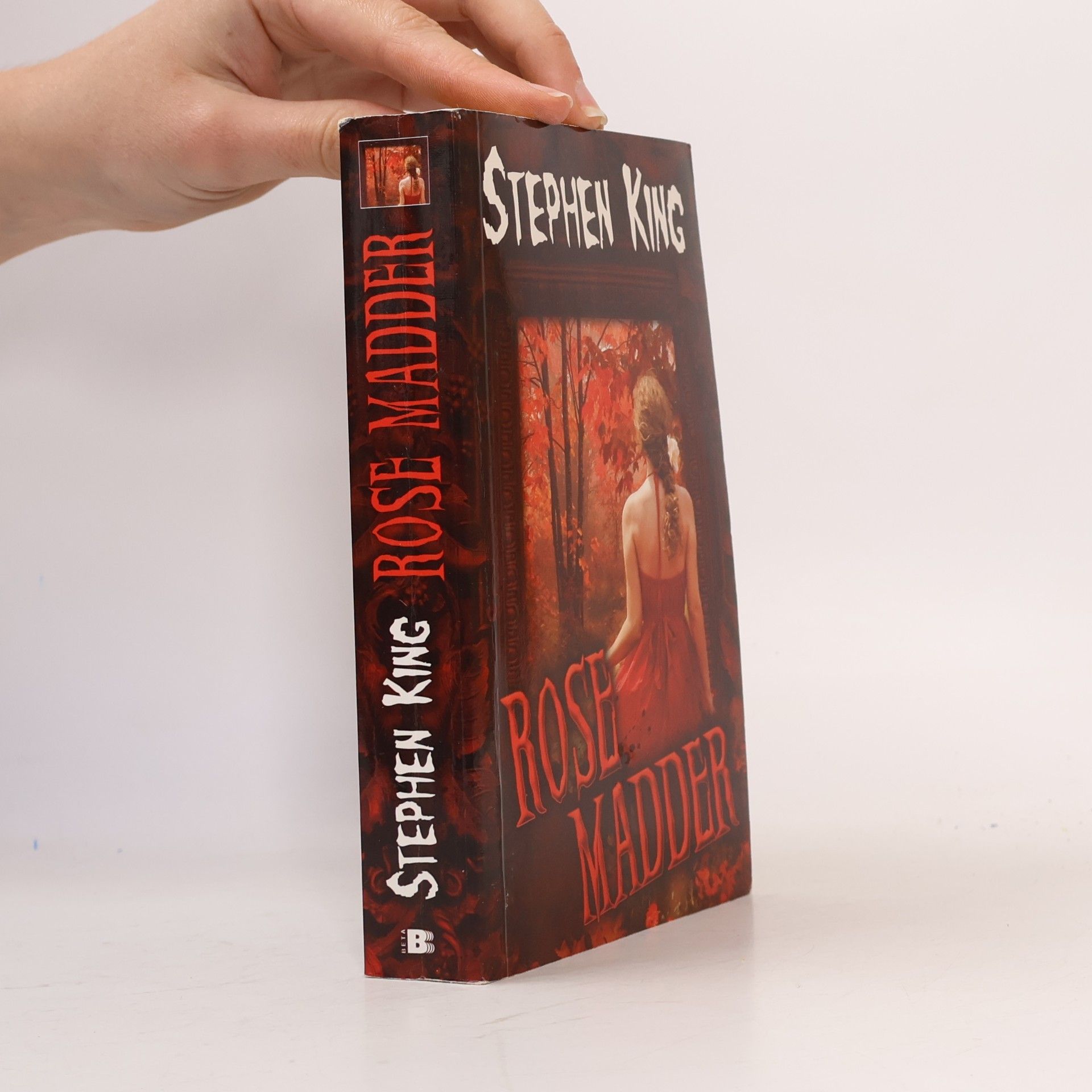 Stephen King Rose Madder