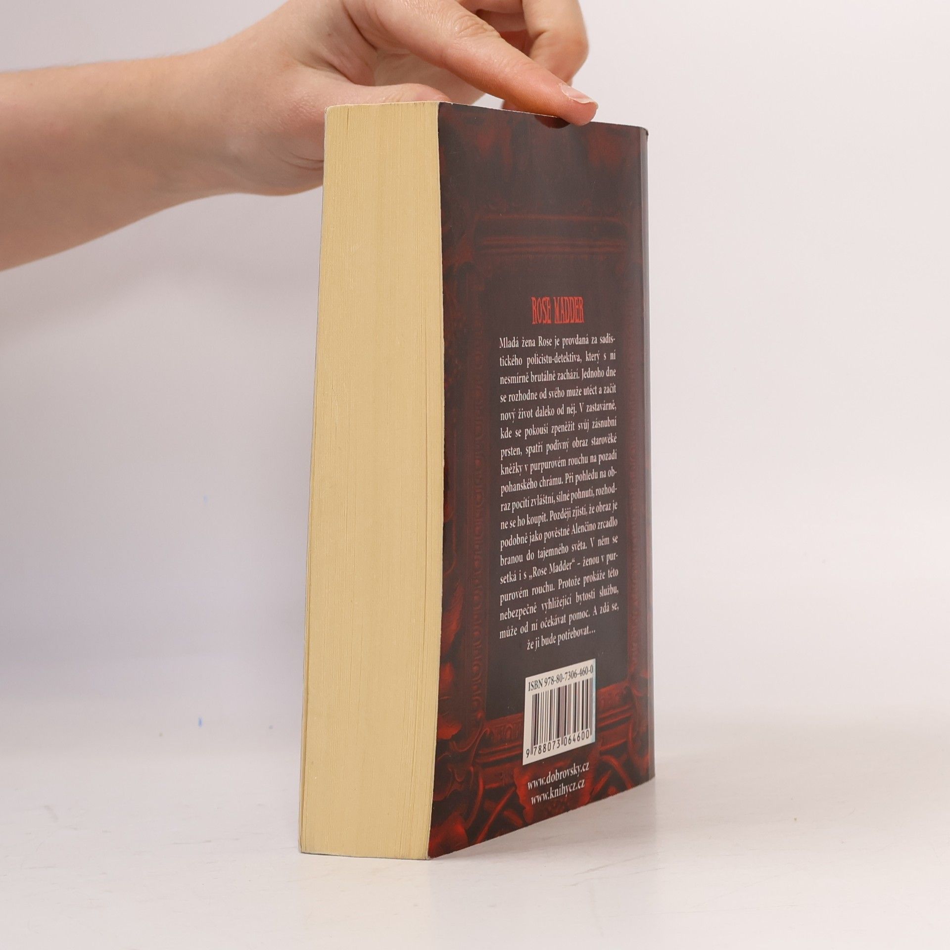 Stephen King Rose Madder