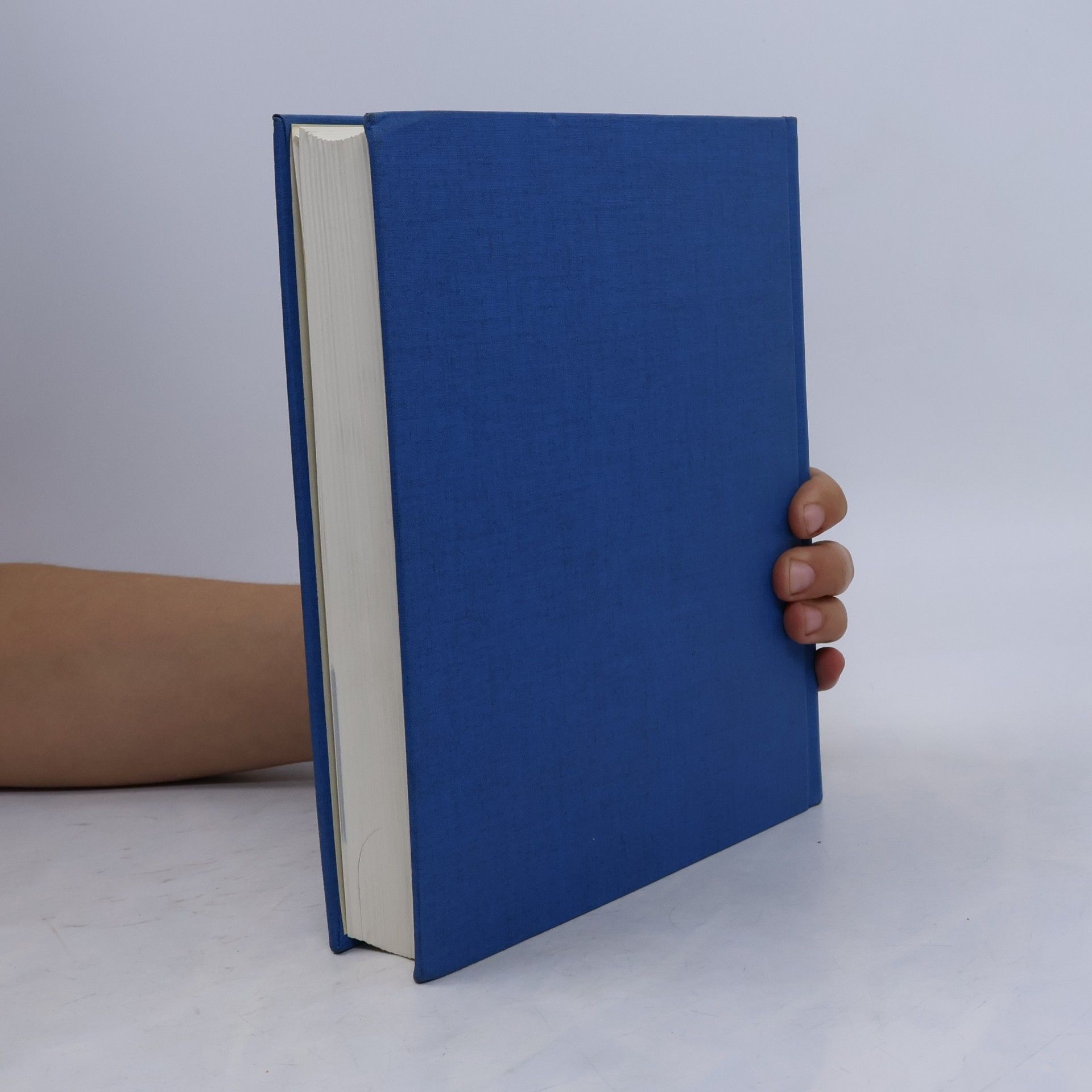 Autorenkollektiv The Holt Intermediate Dictionary of American English